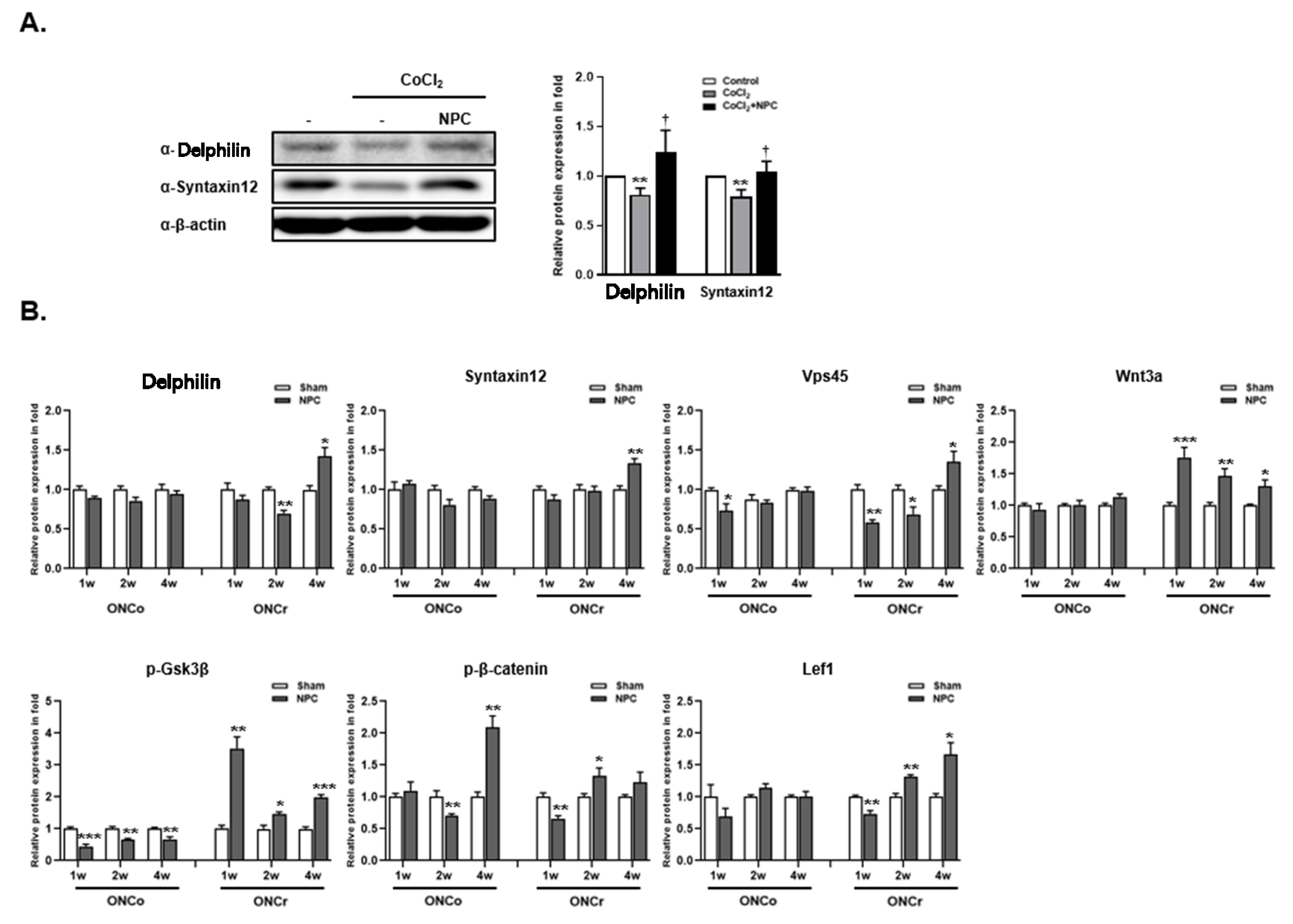 Cells 12 02412 g005a