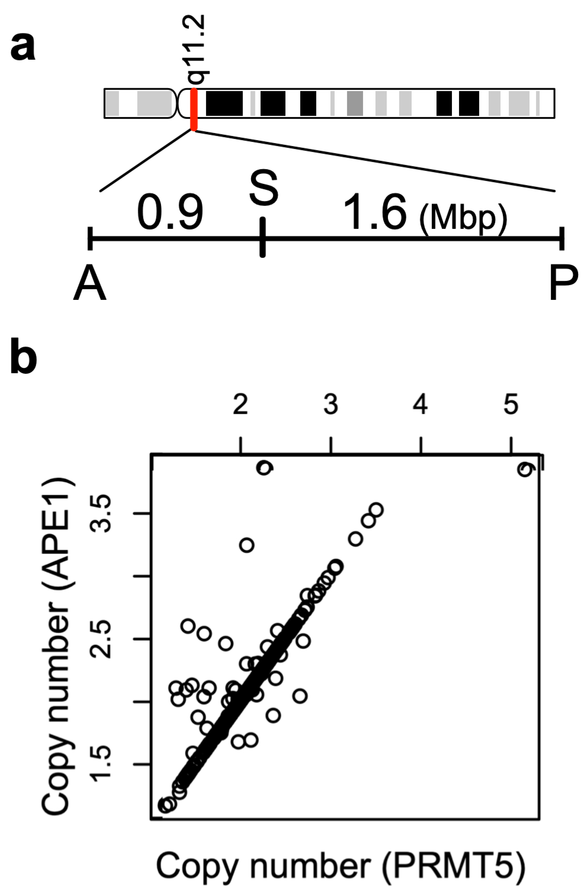 Cells 12 02425 g003 Cells 12 02425 g003