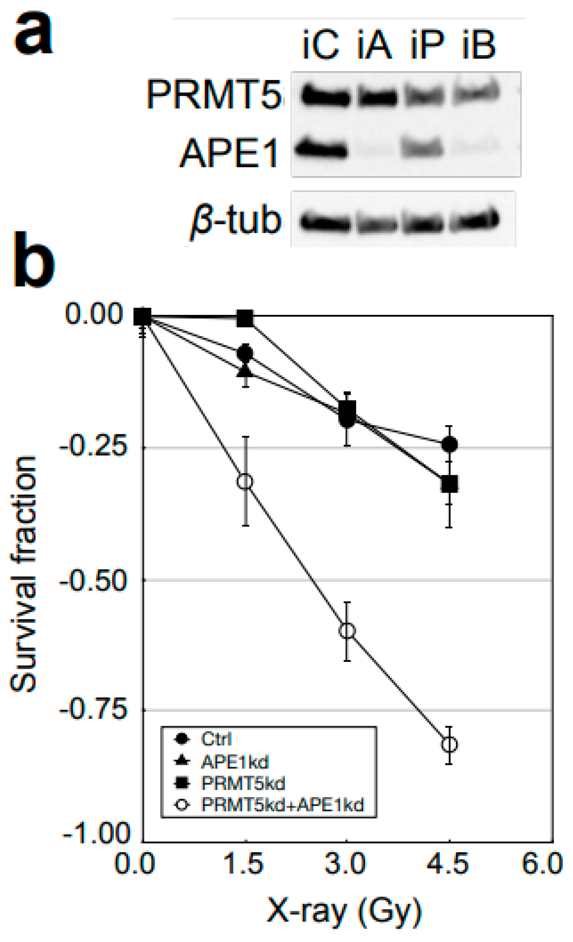 Cells 12 02425 g005 Cells 12 02425 g005