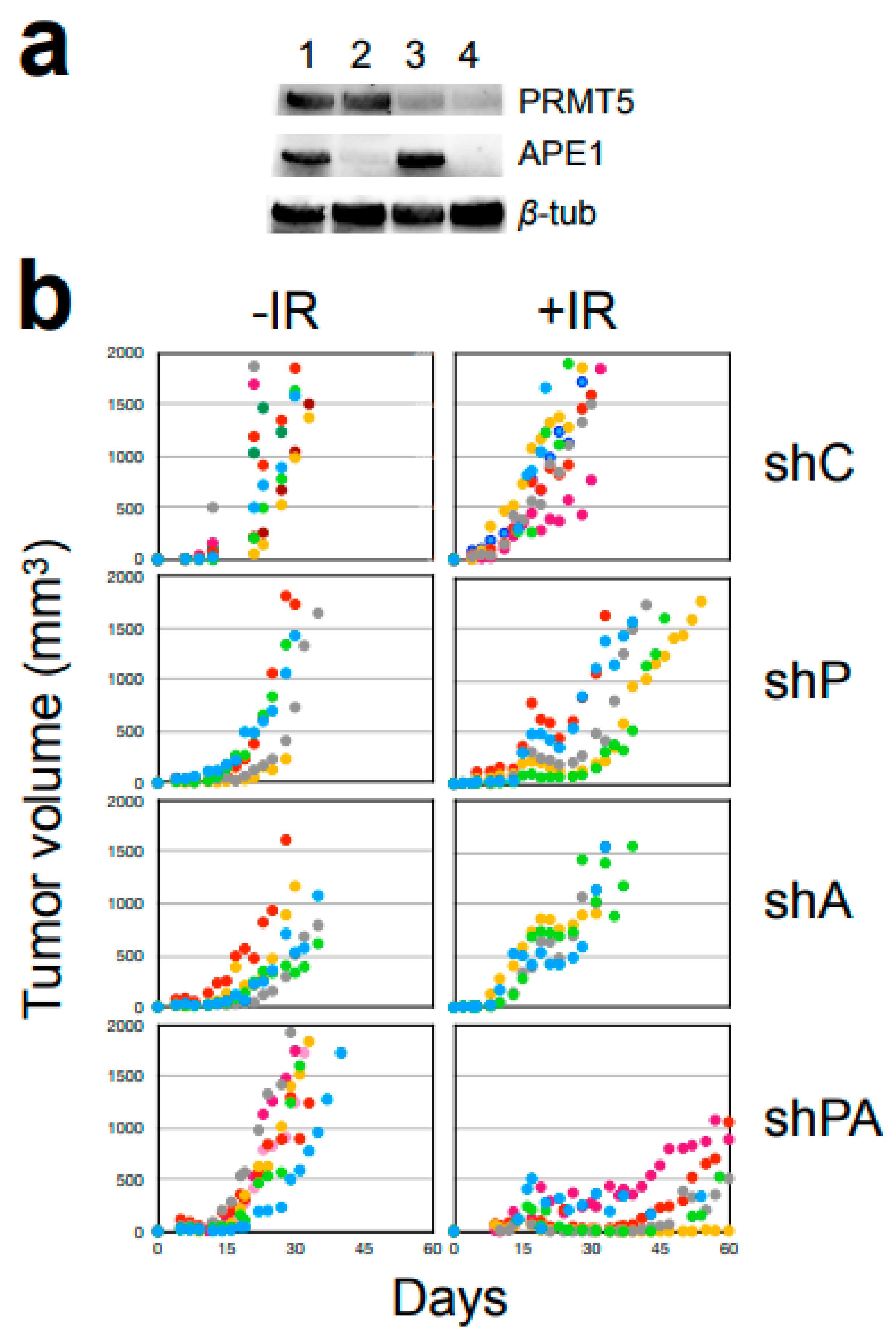 Cells 12 02425 g007 Cells 12 02425 g007