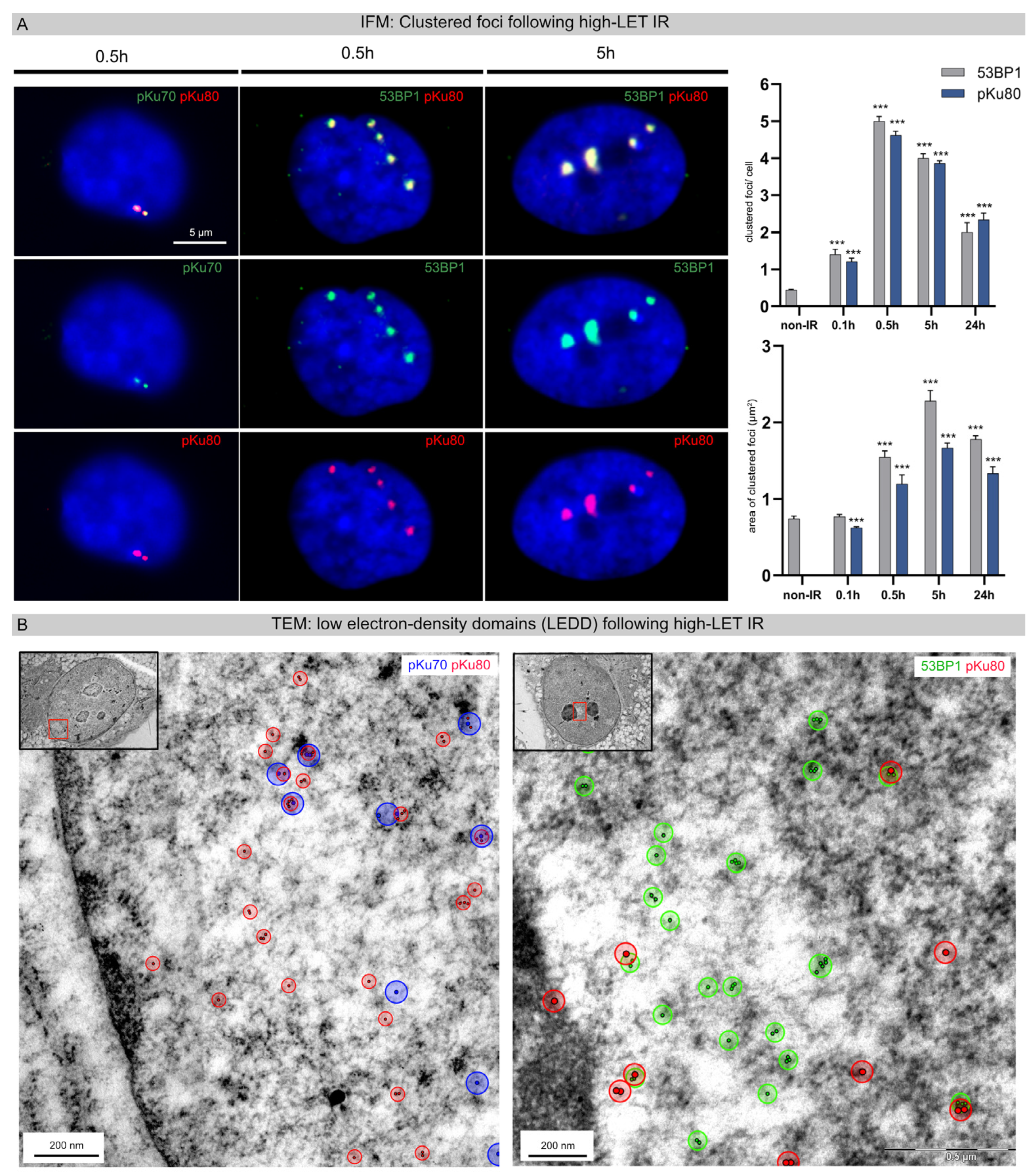 Cells 12 02427 g001