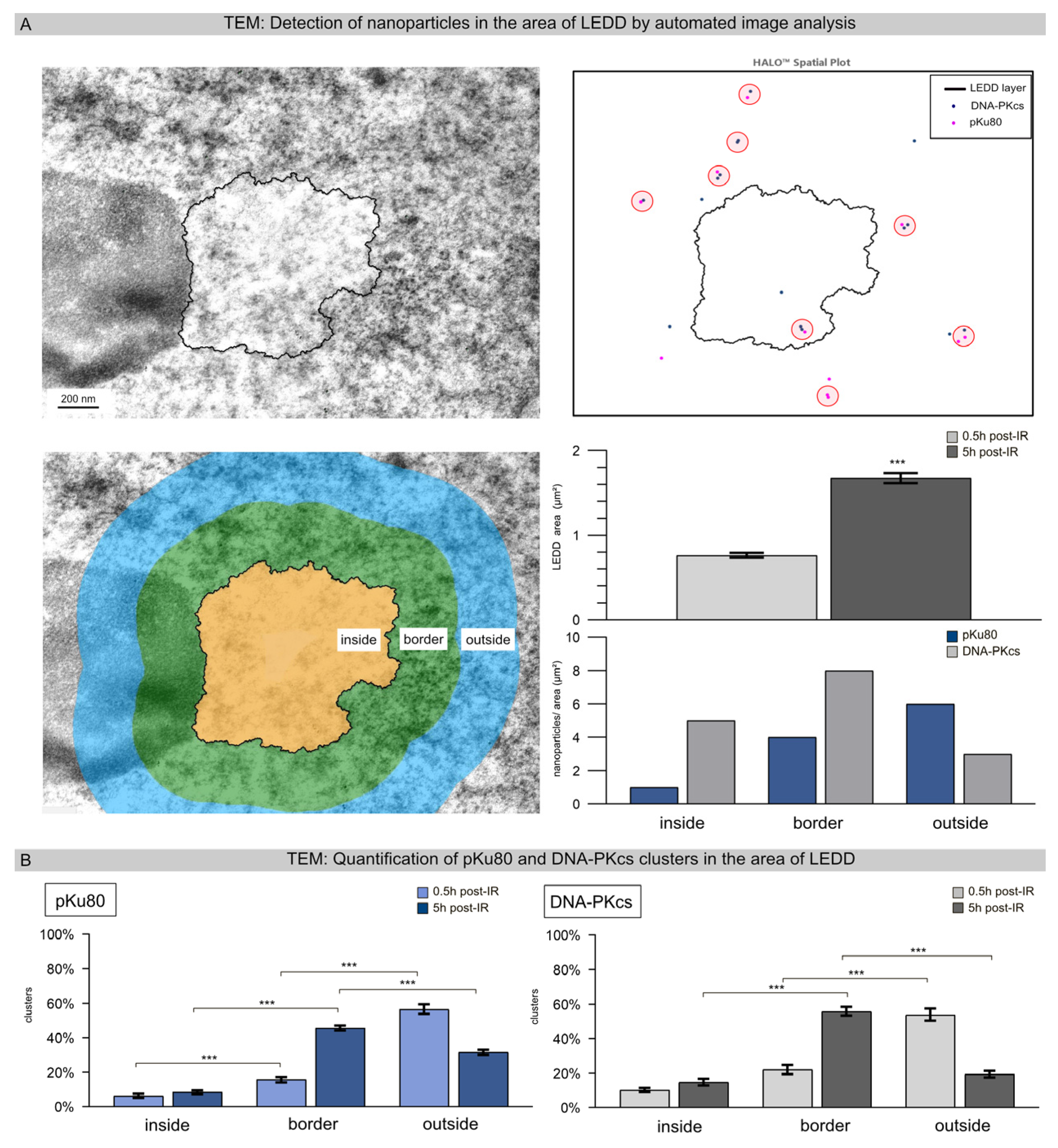 Cells 12 02427 g003