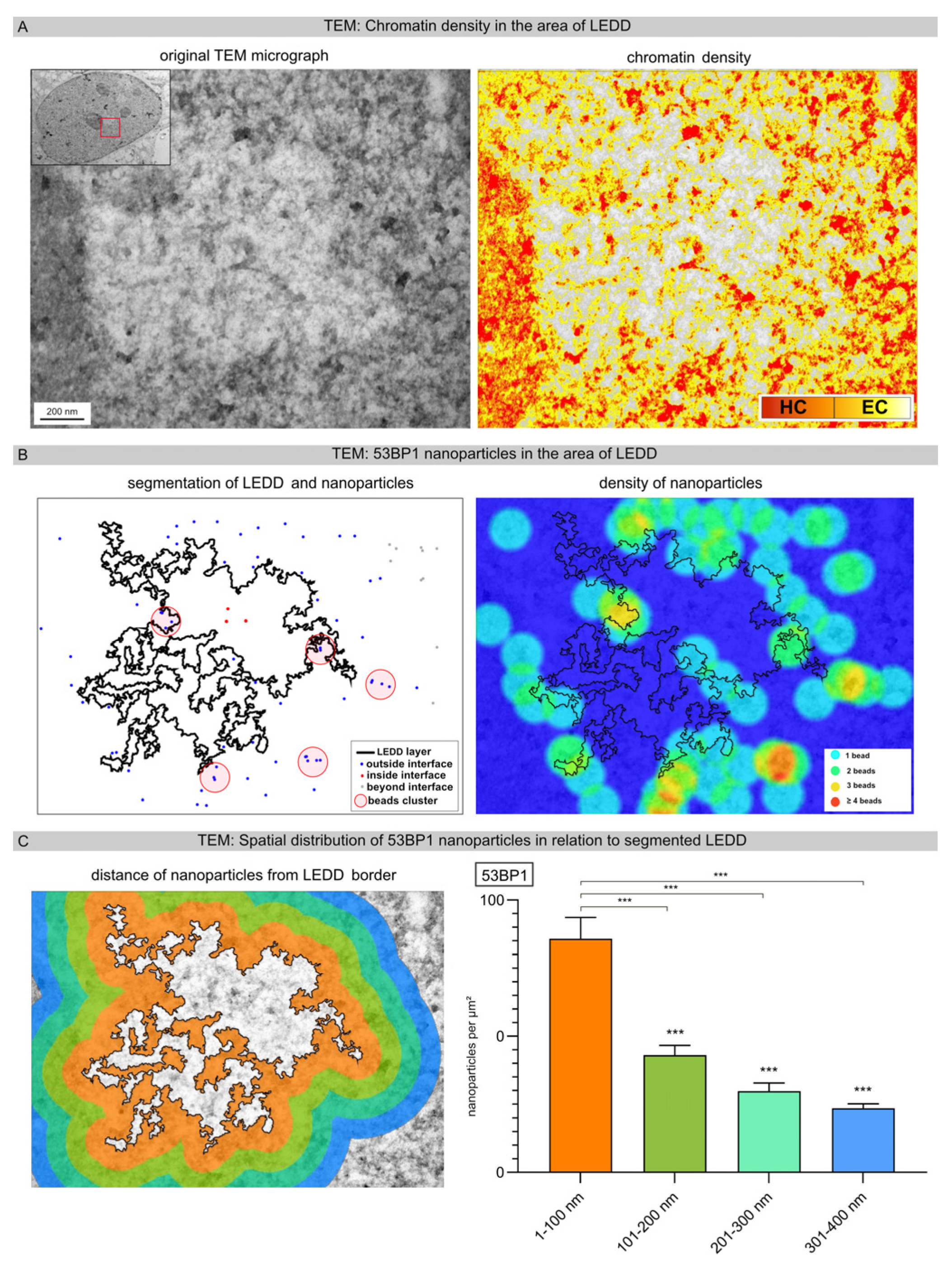 Cells 12 02427 g004