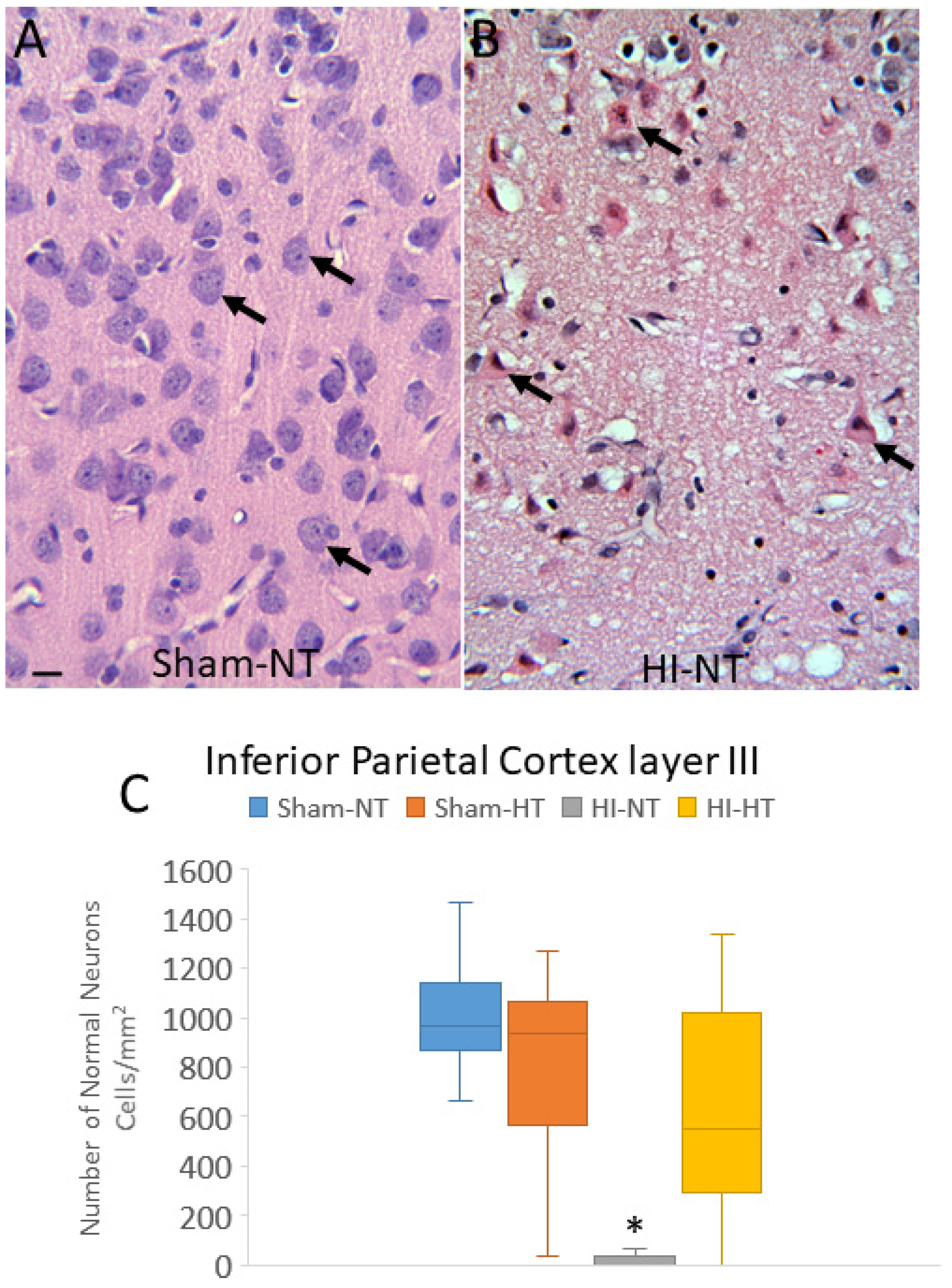 Cells 12 02454 g009