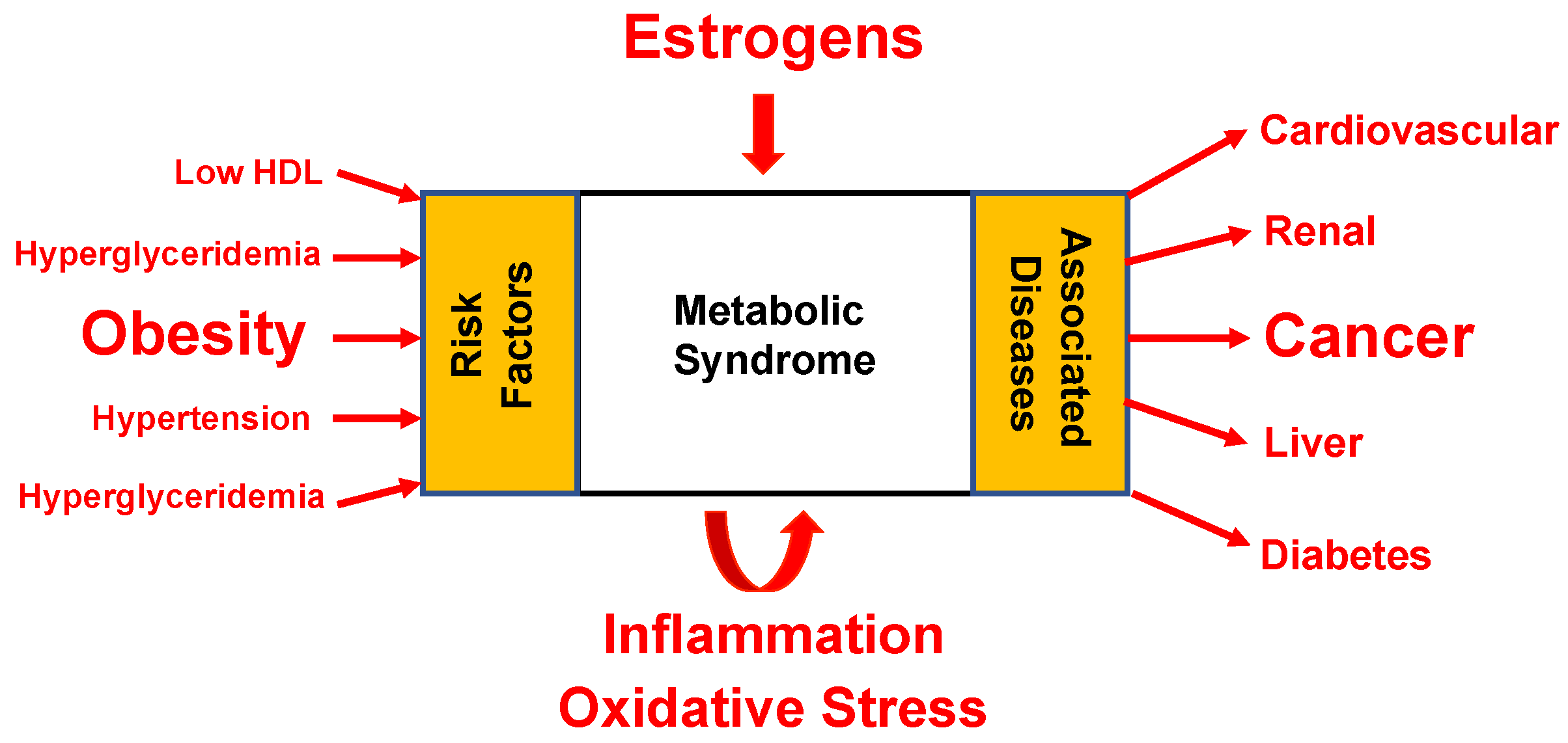 Cells 12 02460 g002 Cells 12 02460 g002