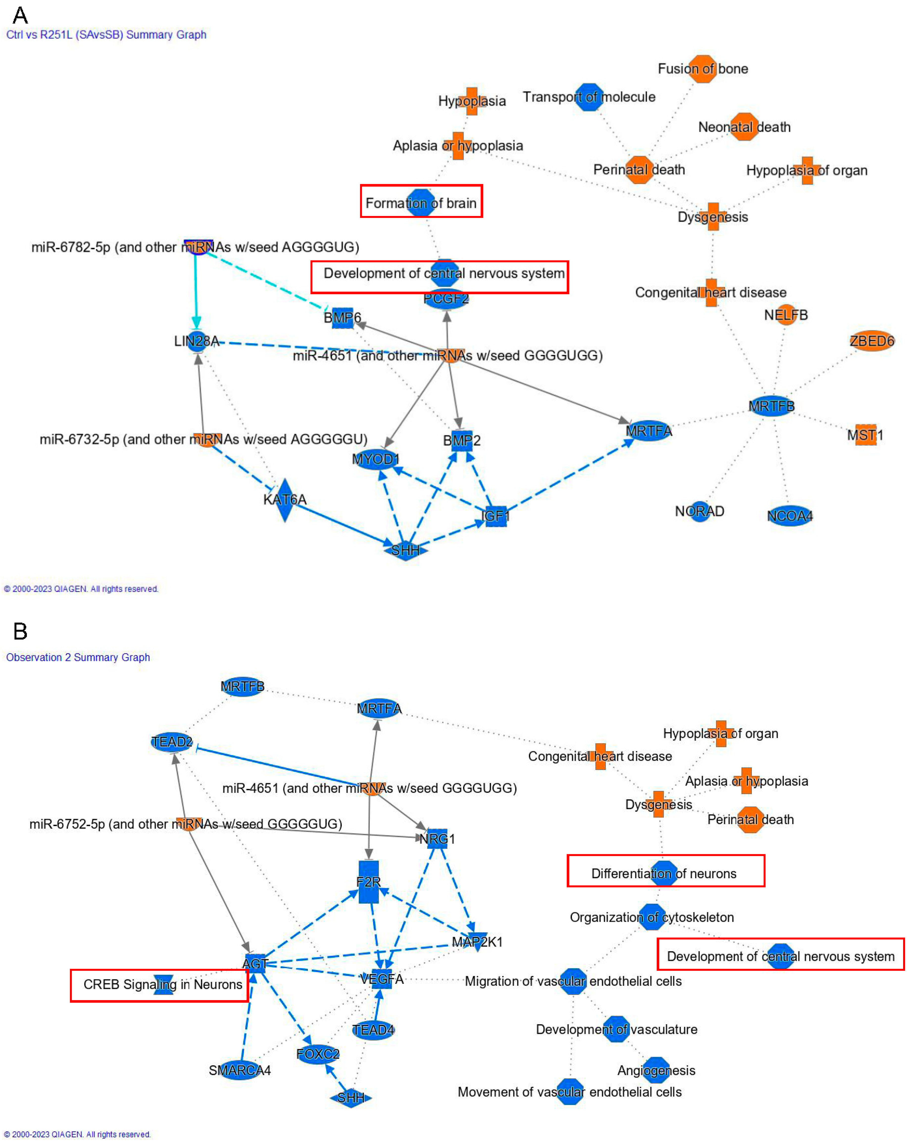 Cells 12 02461 g006 Cells 12 02461 g006