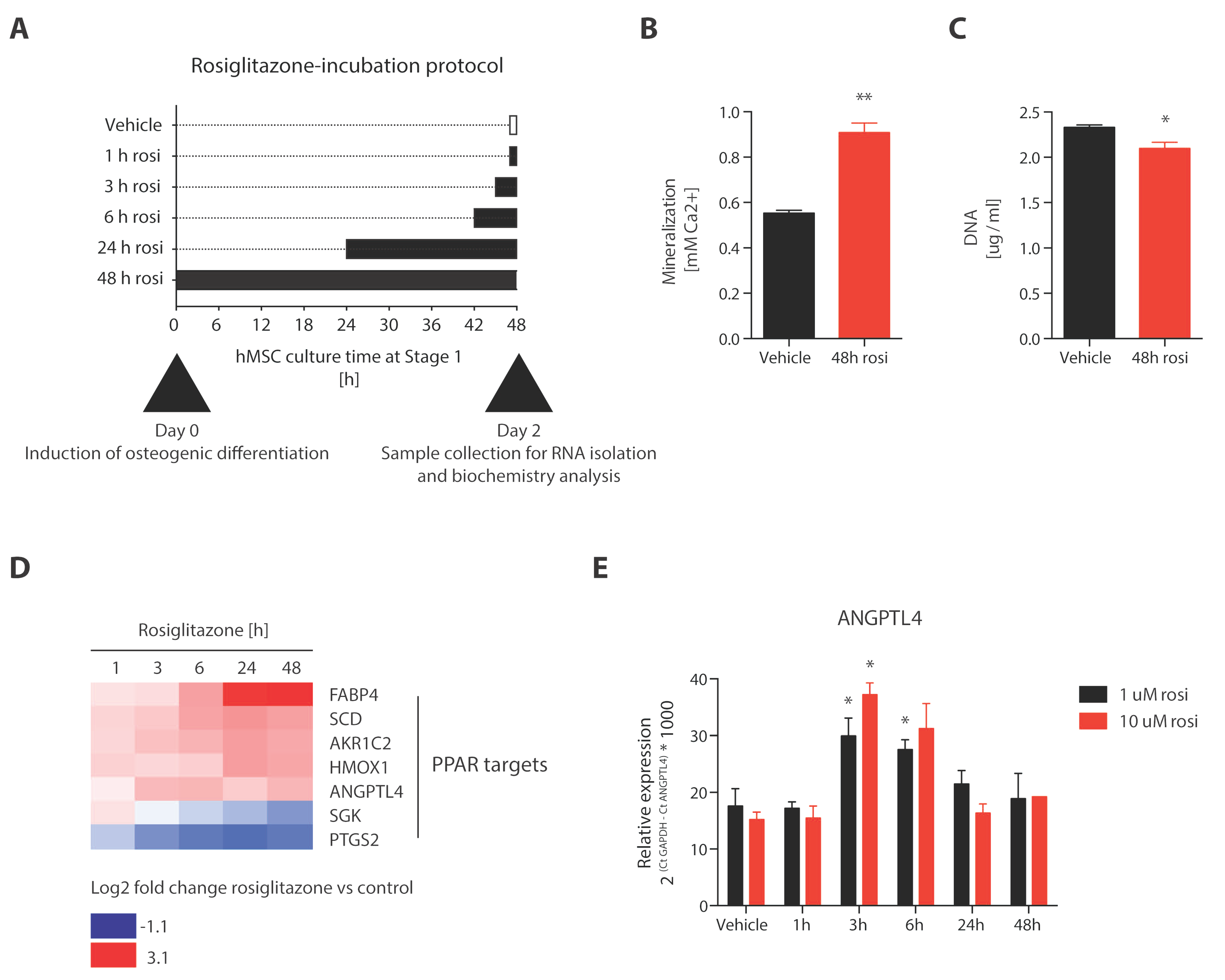 Cells 12 02462 g002a