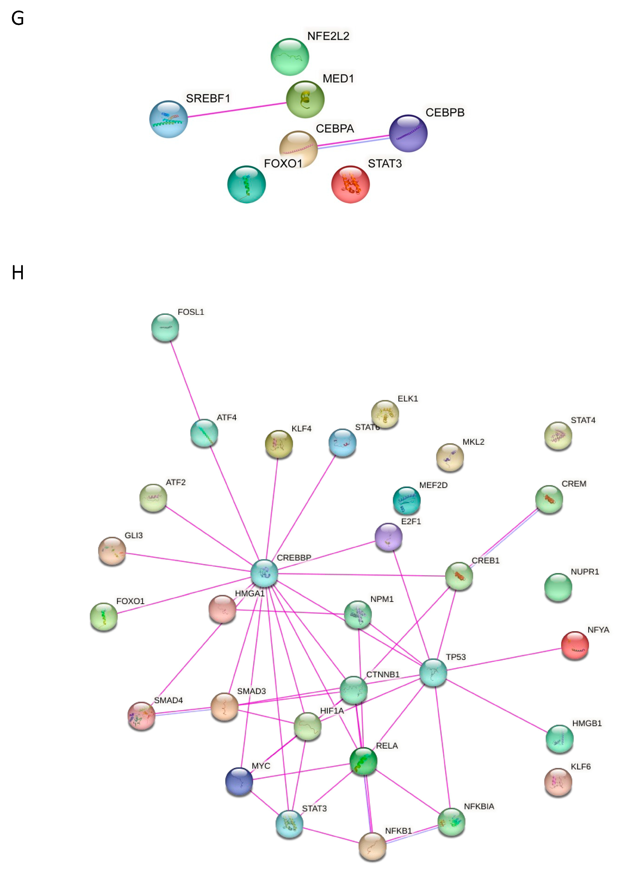 Cells 12 02462 g003b