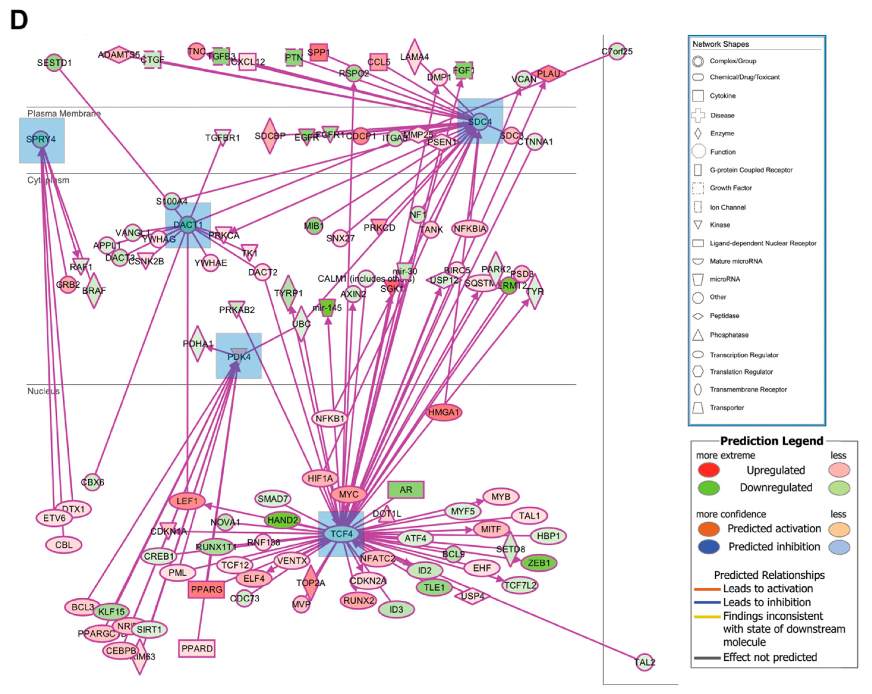 Cells 12 02462 g007b