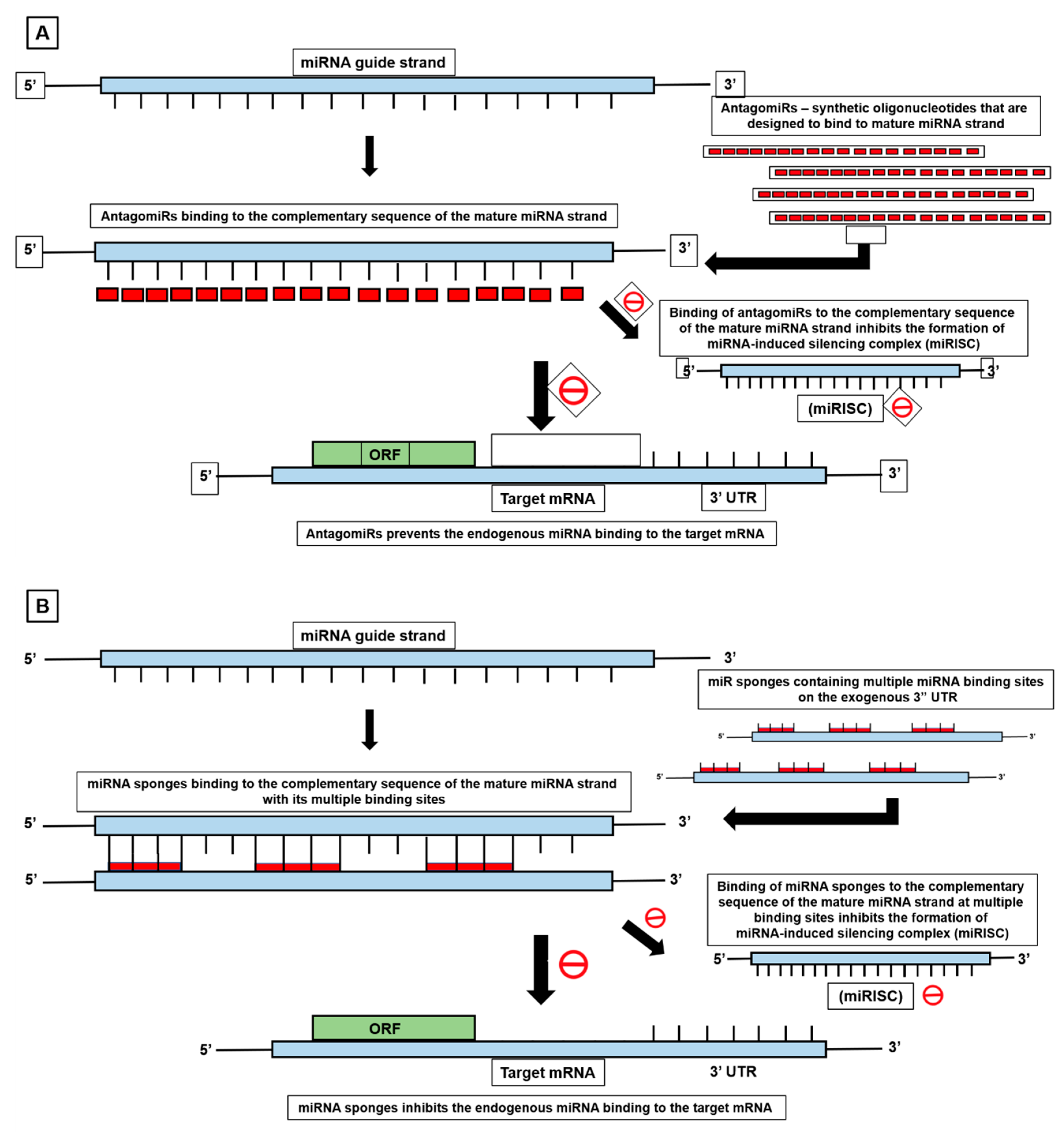 Cells 12 02467 g008a
