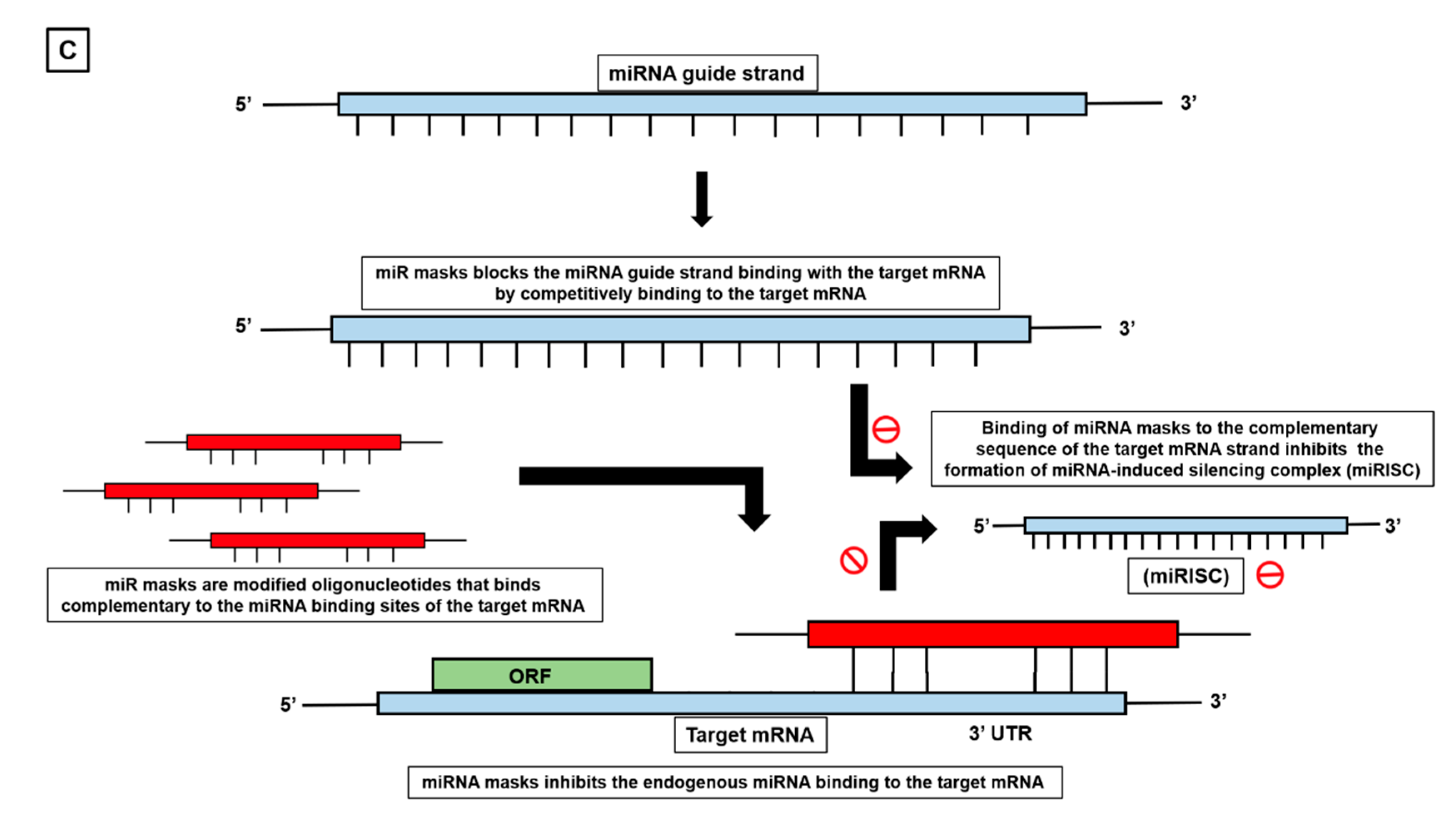 Cells 12 02467 g008b