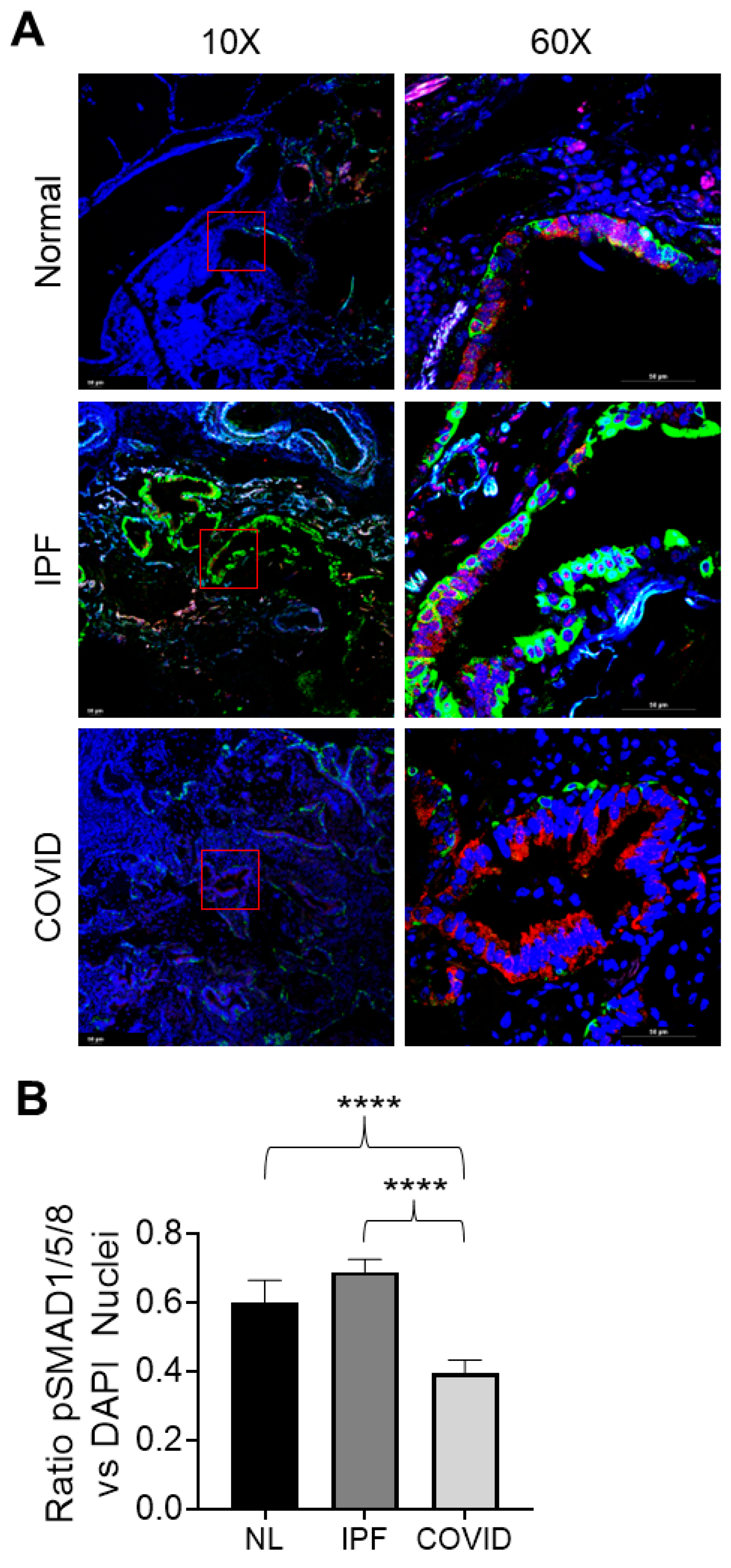 Cells 12 02501 g007 Cells 12 02501 g007