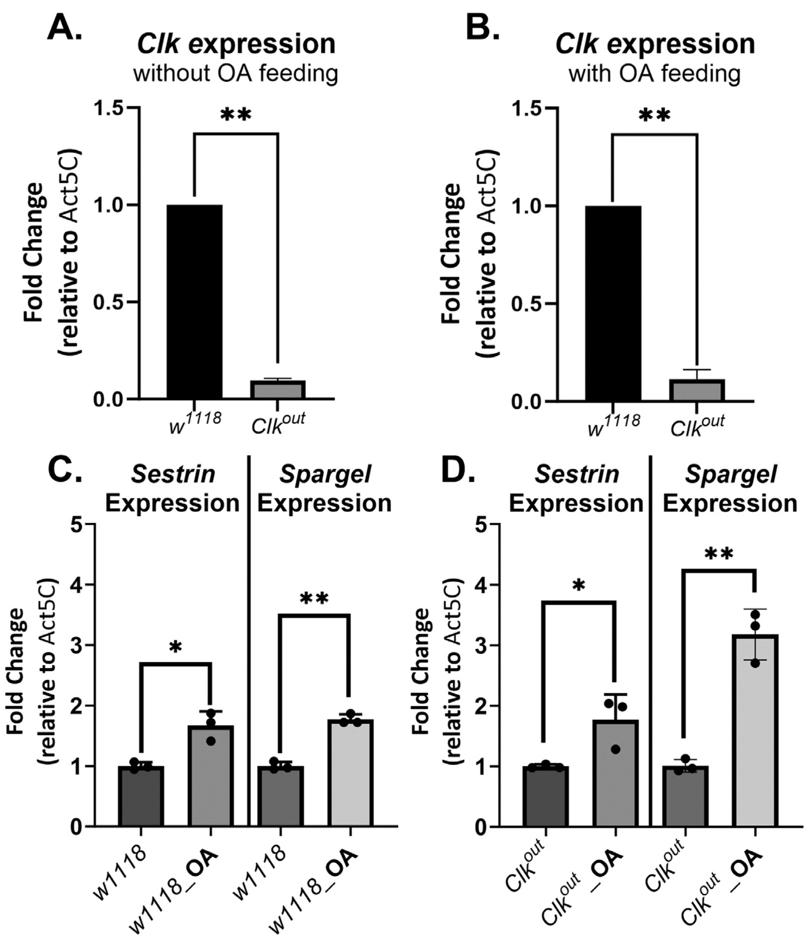 Cells 12 02515 g006 Cells 12 02515 g006