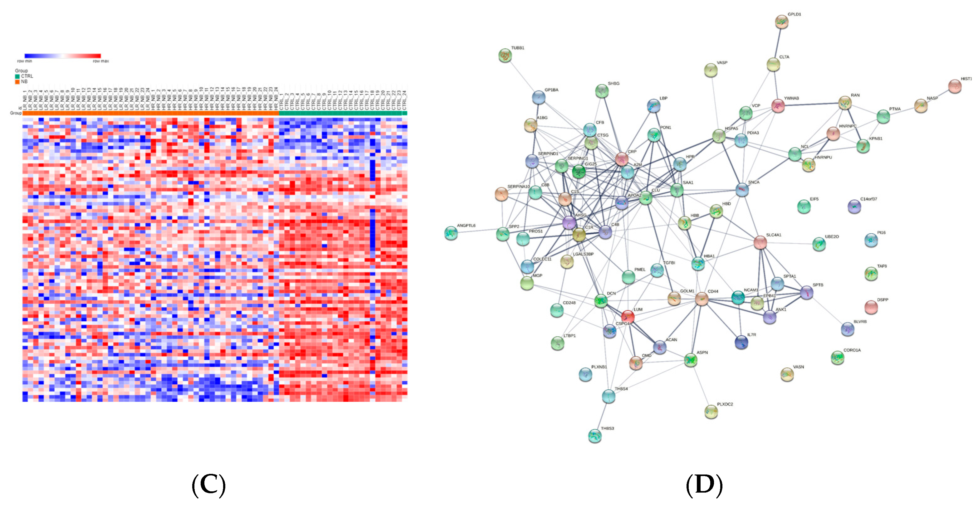 Cells 12 02516 g003b