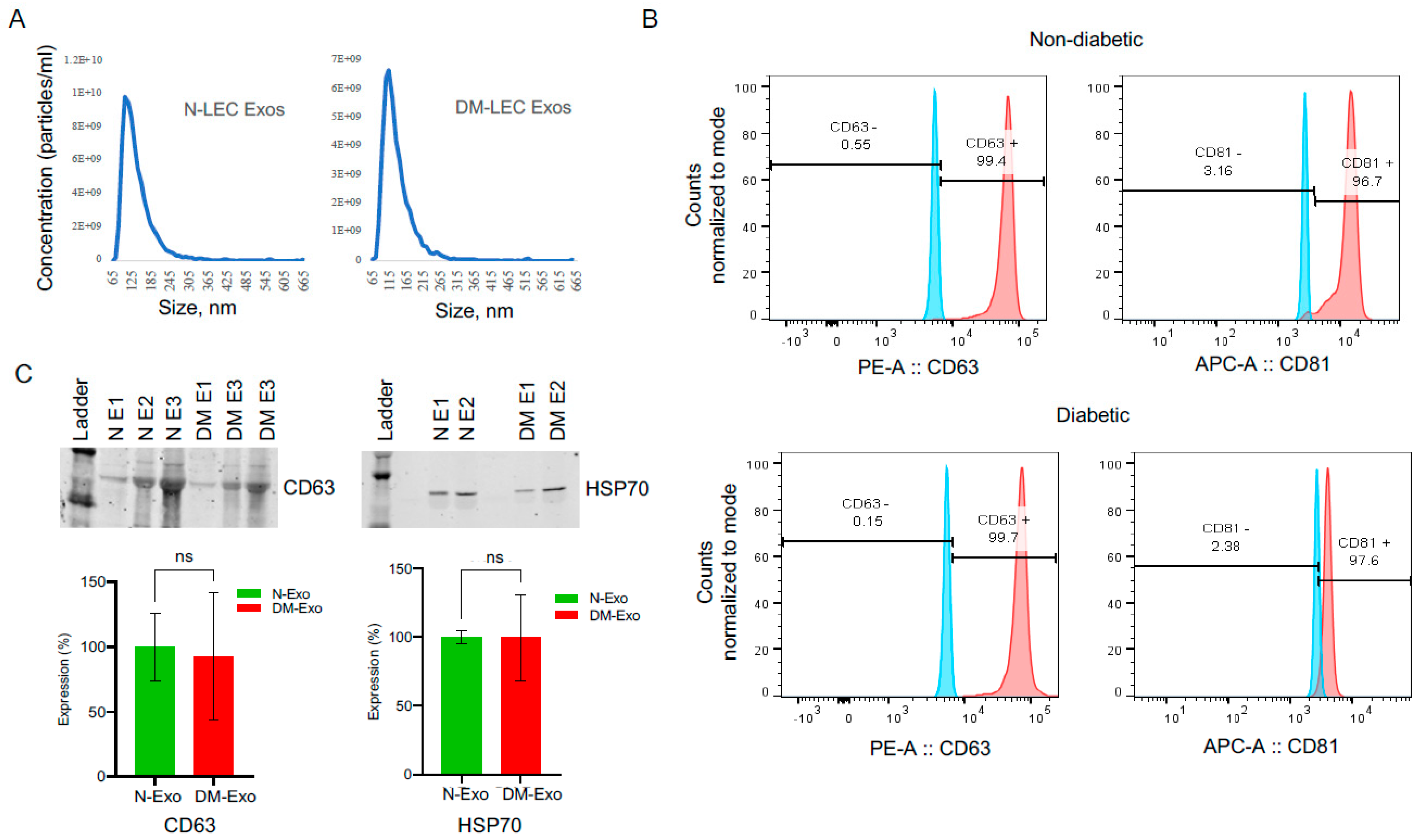 Cells 12 02524 g001 Cells 12 02524 g001