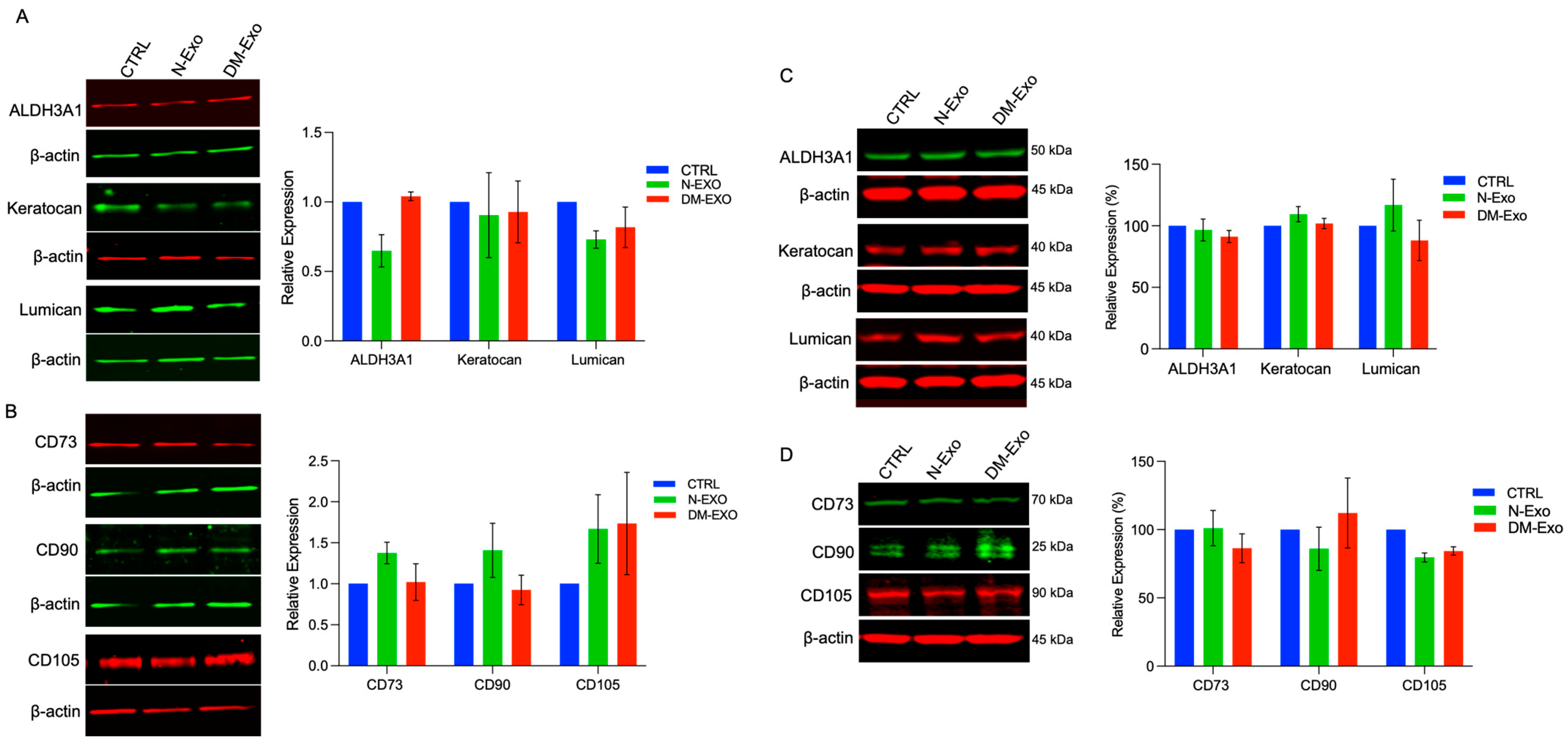 Cells 12 02524 g007 Cells 12 02524 g007