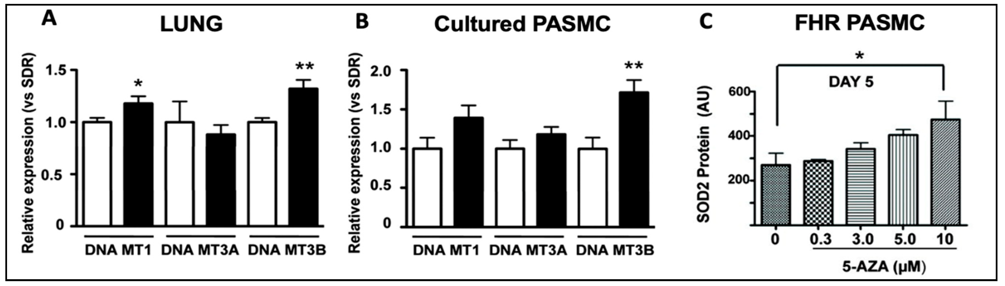 Cells 12 02528 g004 Cells 12 02528 g004