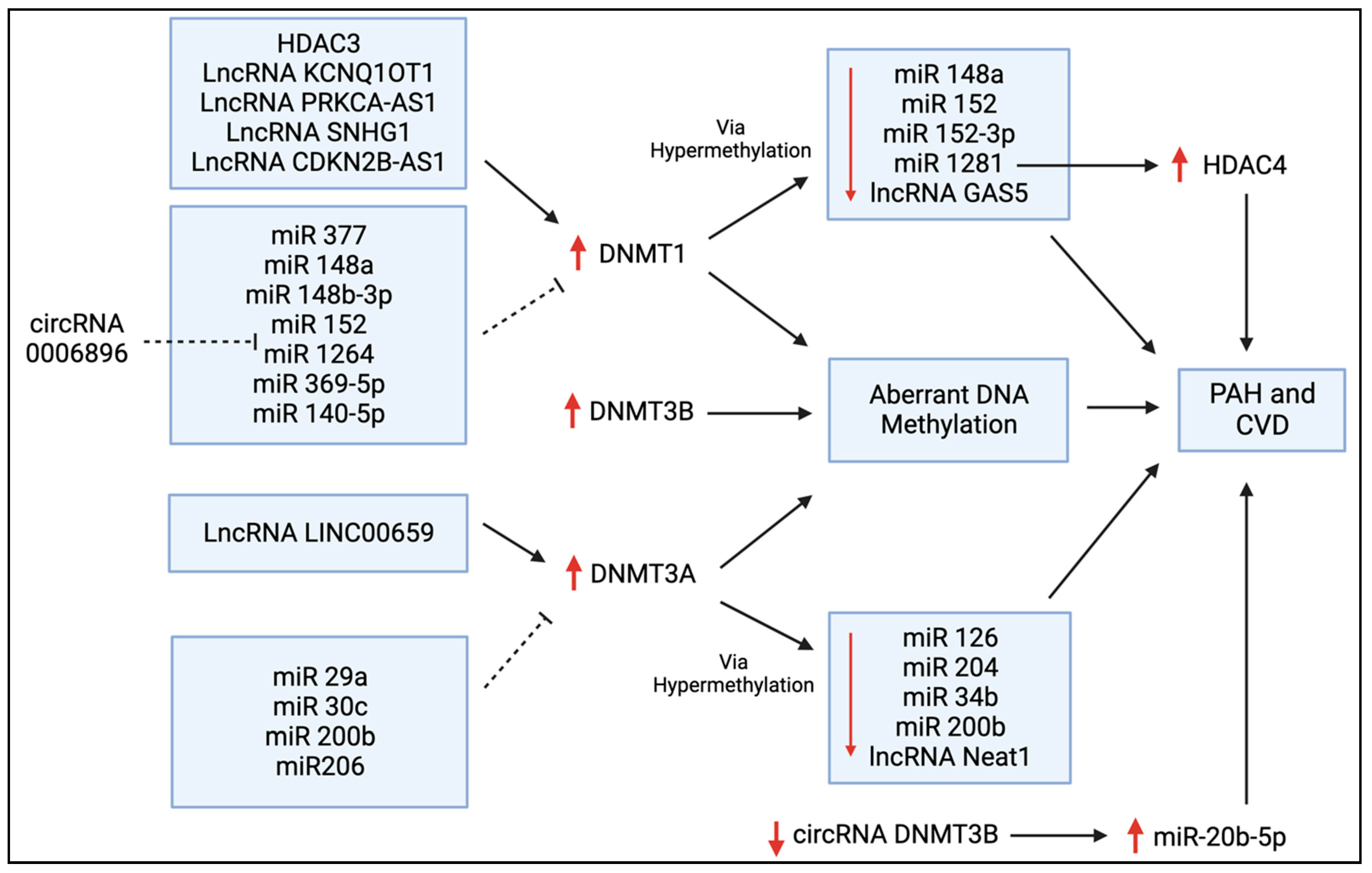 Cells 12 02528 g005 Cells 12 02528 g005