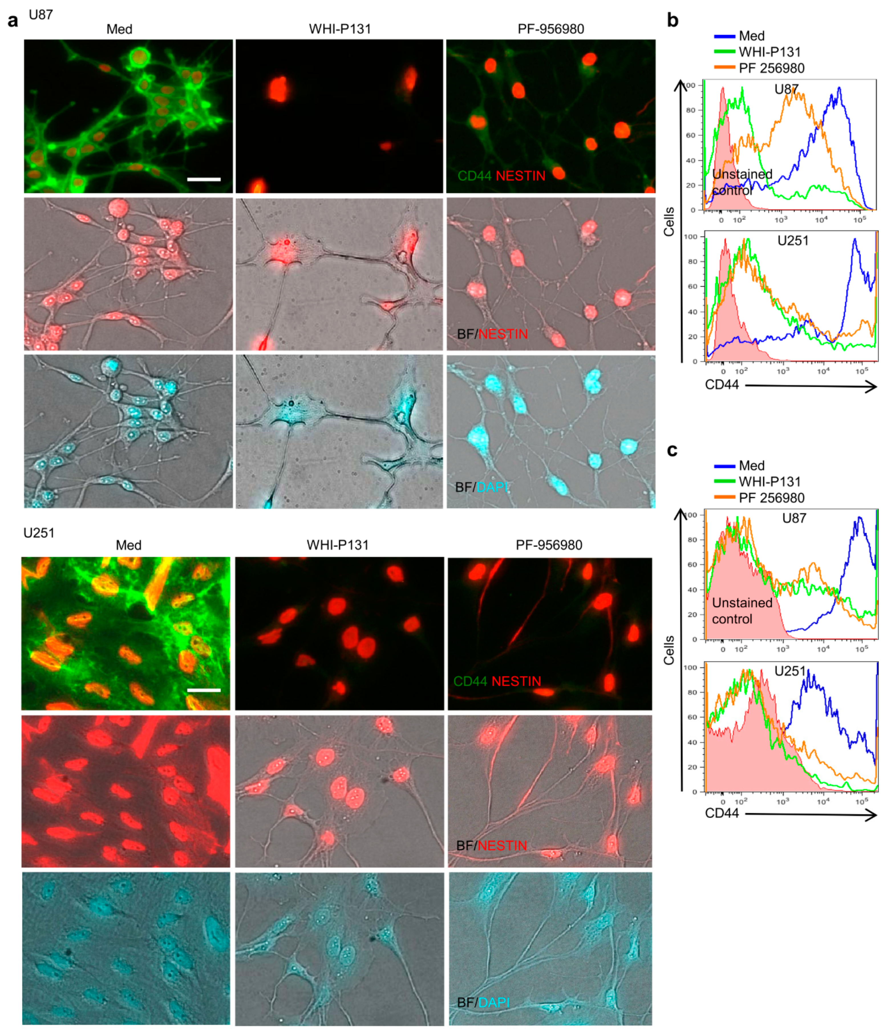 Cells 12 02547 g006 Cells 12 02547 g006