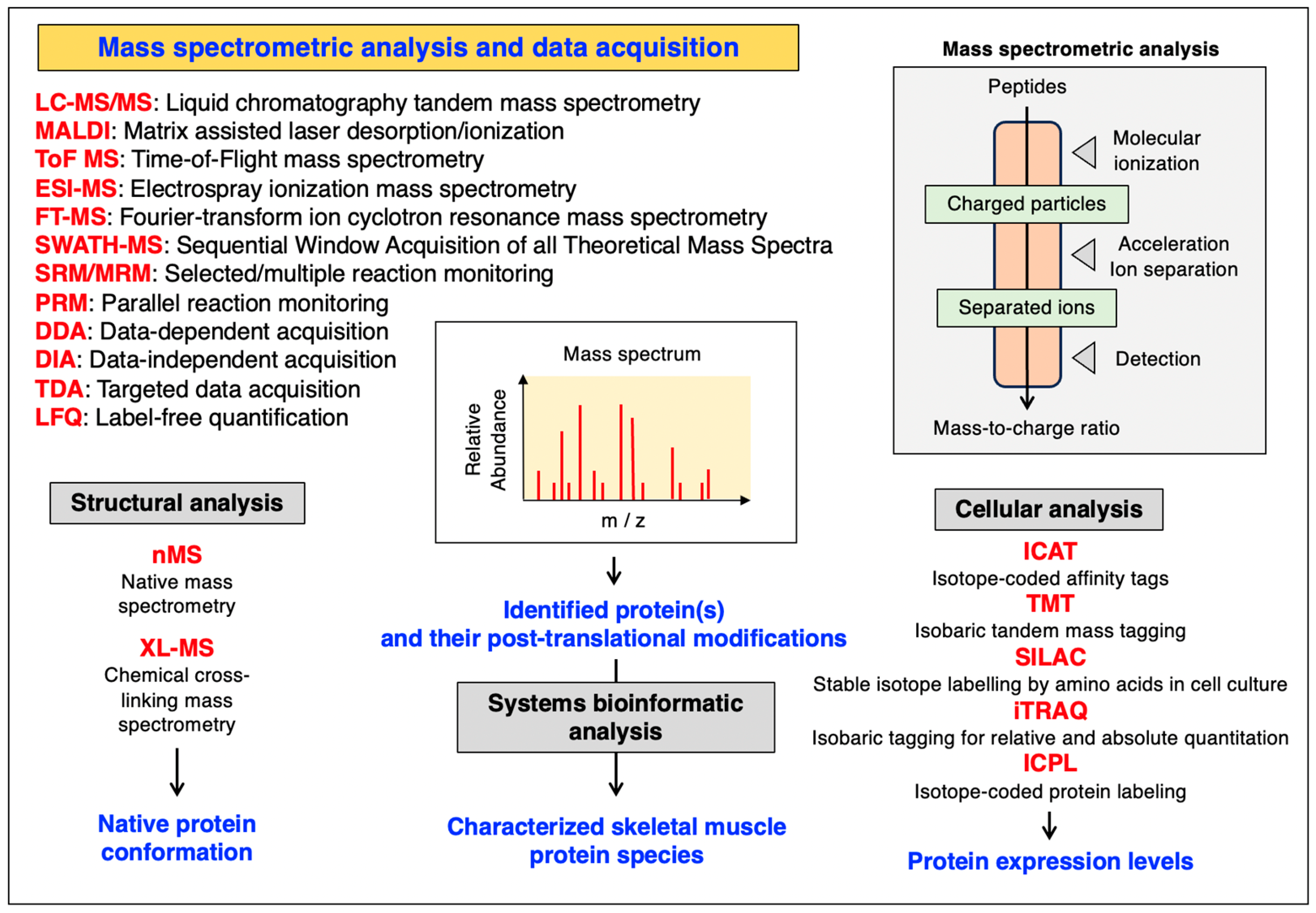 Cells 12 02560 g003 Cells 12 02560 g003