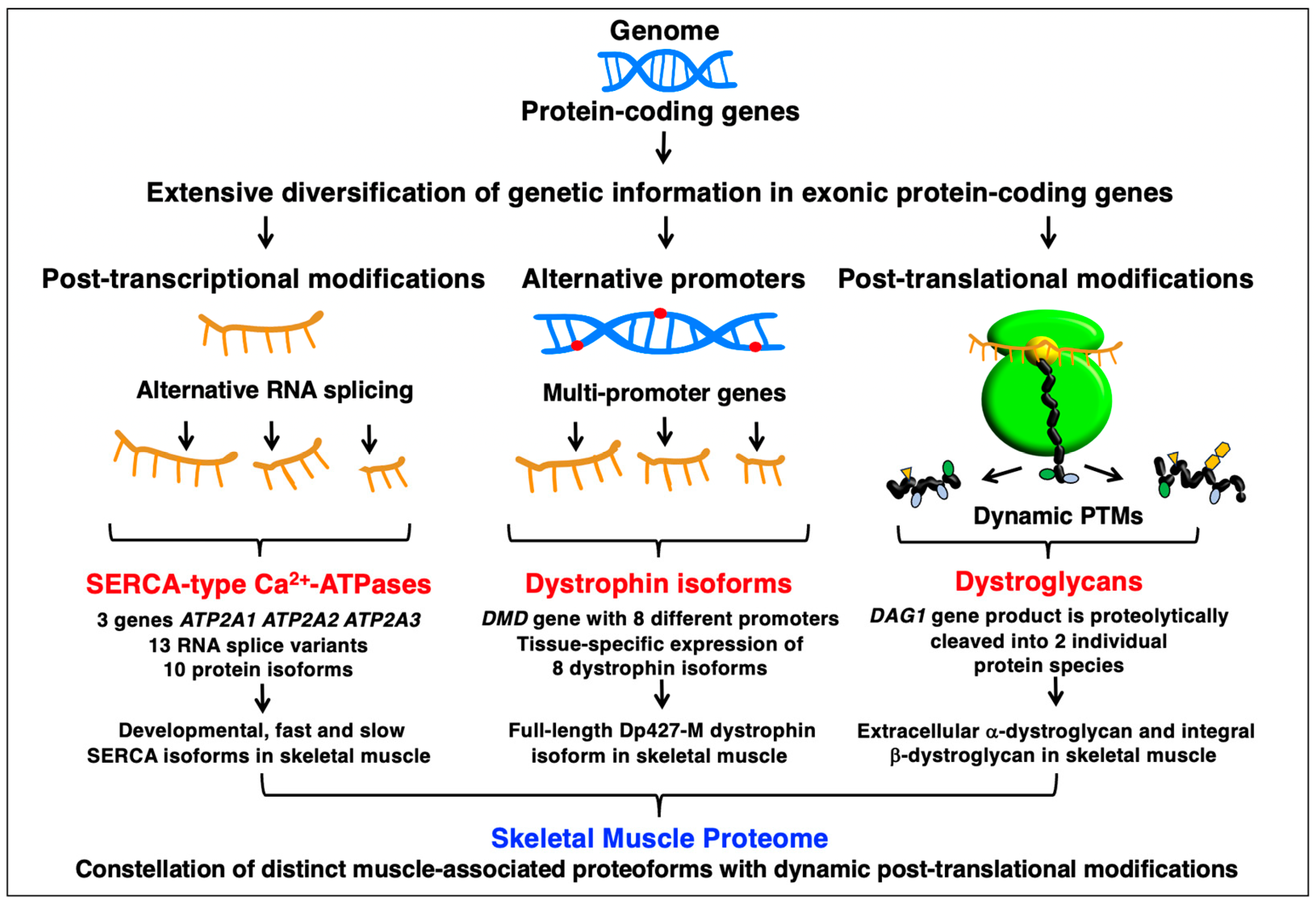 Cells 12 02560 g009 Cells 12 02560 g009