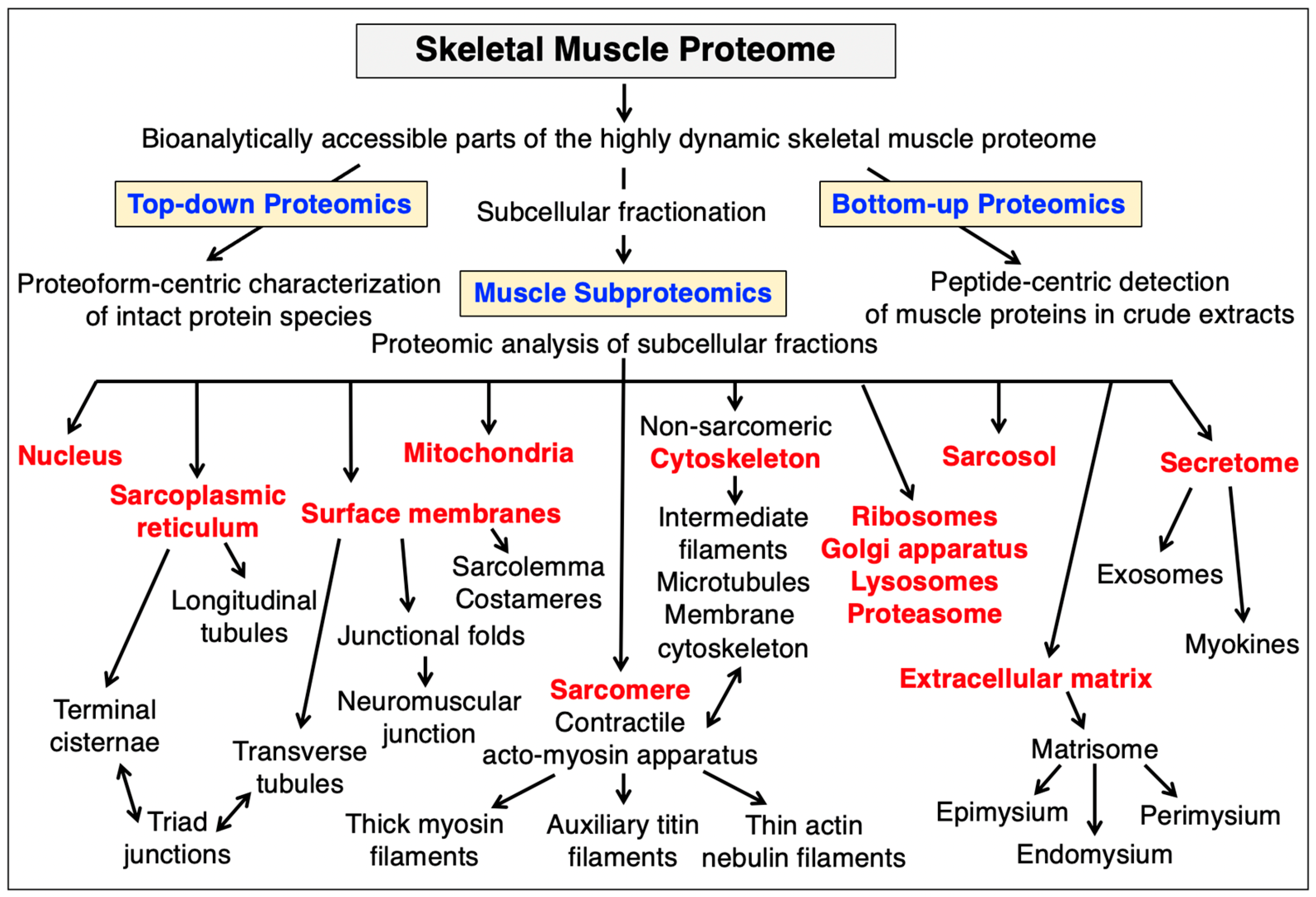 Cells 12 02560 g010 Cells 12 02560 g010