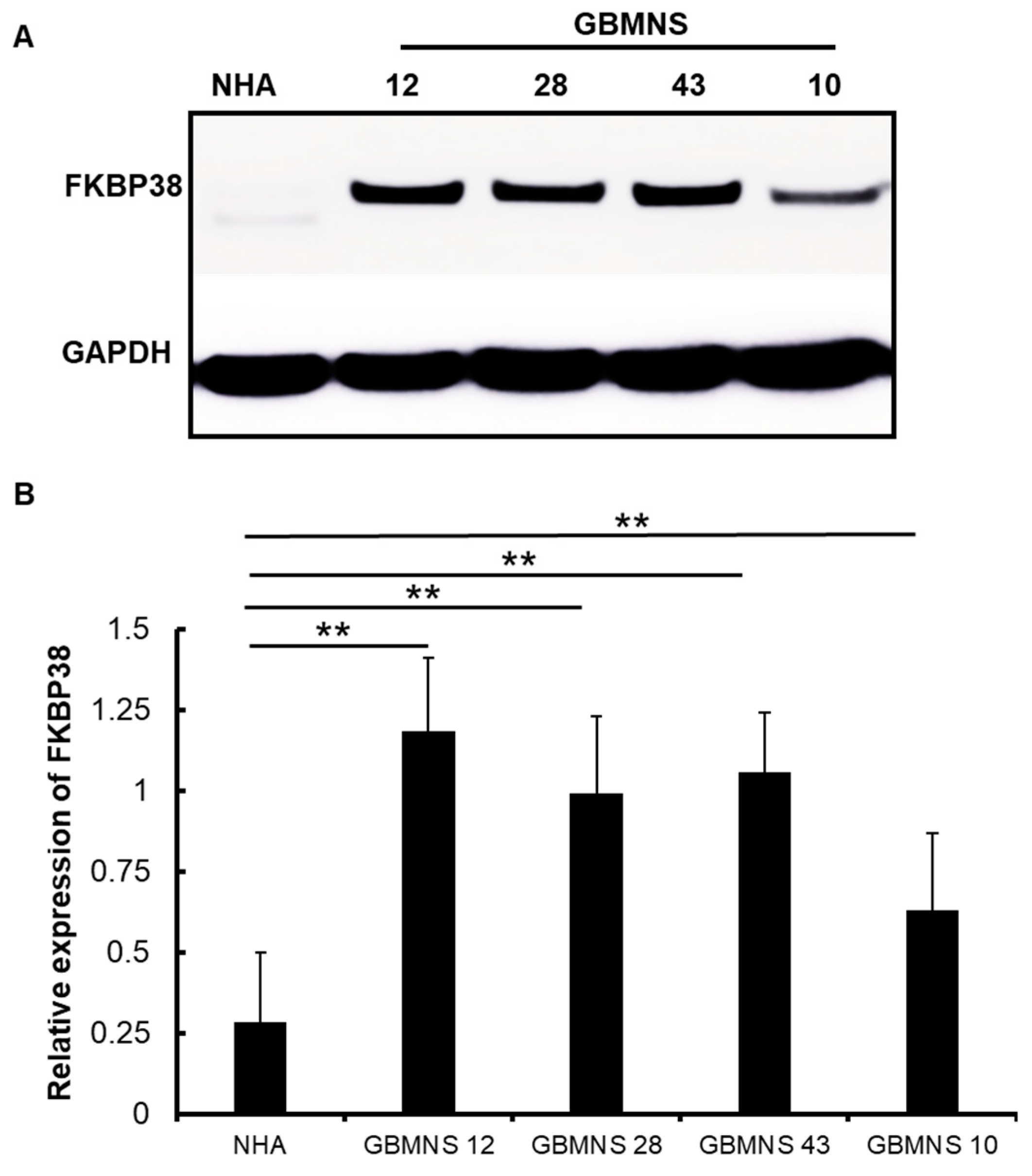 Cells 12 02562 g001 Cells 12 02562 g001