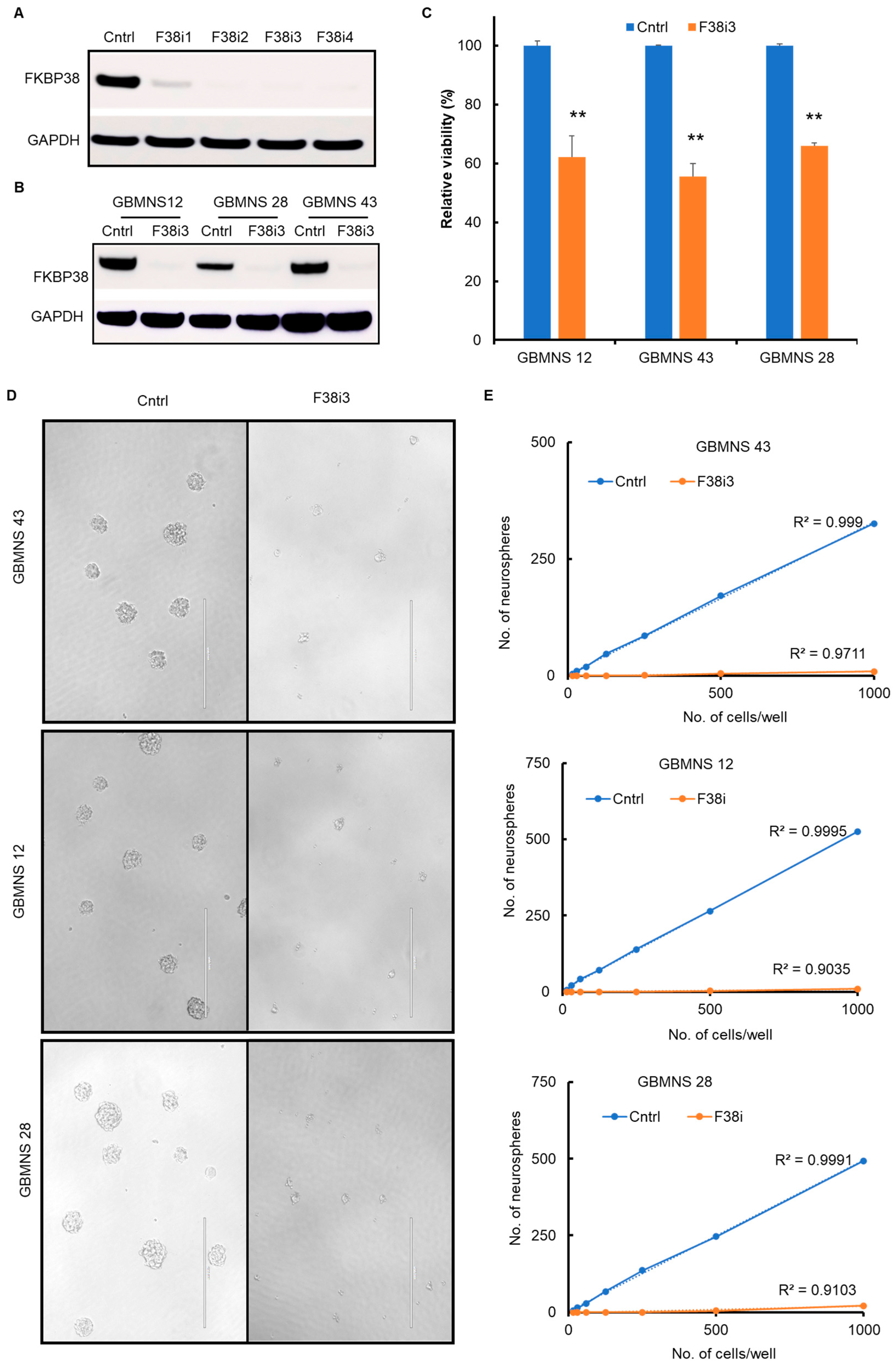 Cells 12 02562 g002 Cells 12 02562 g002