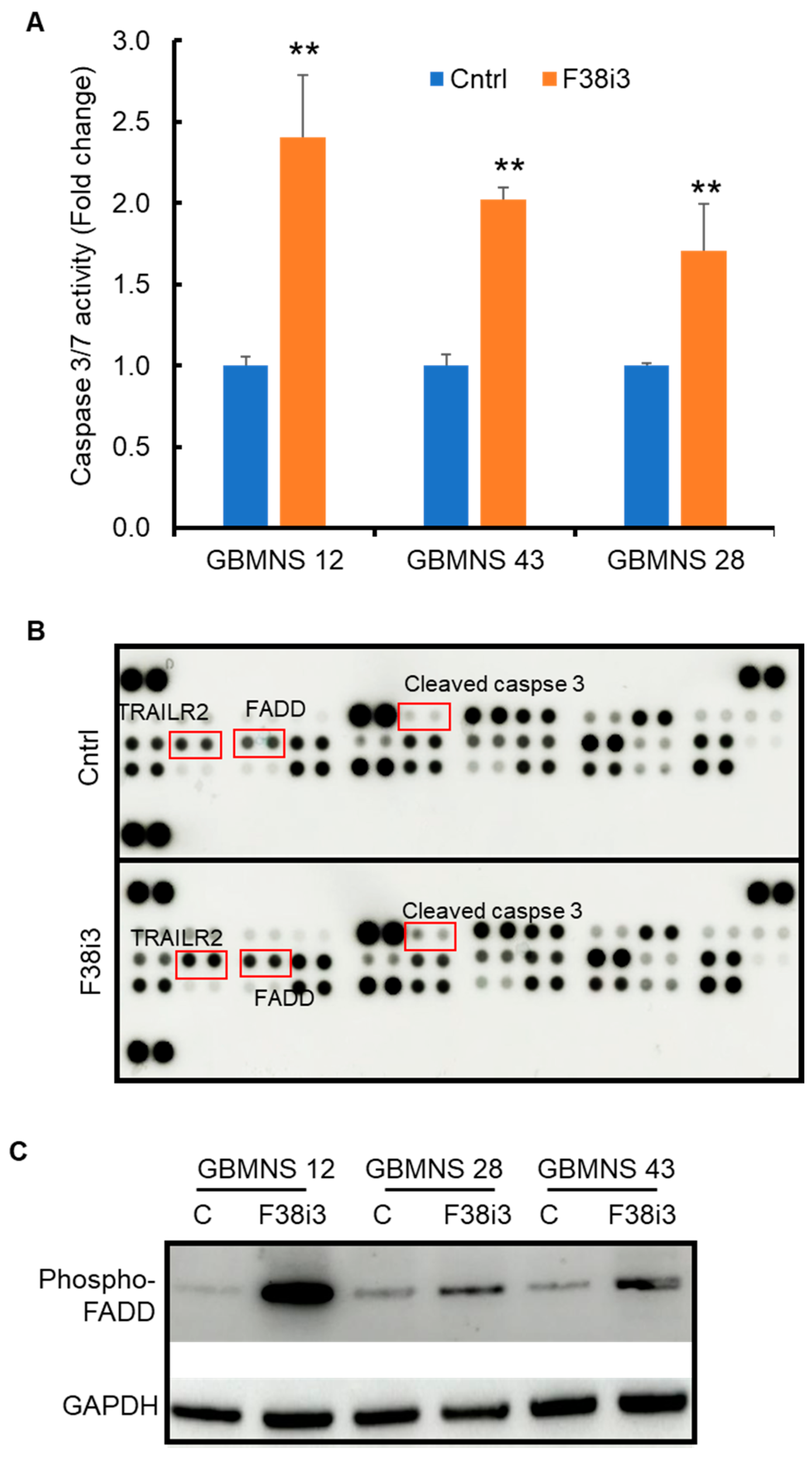 Cells 12 02562 g003 Cells 12 02562 g003
