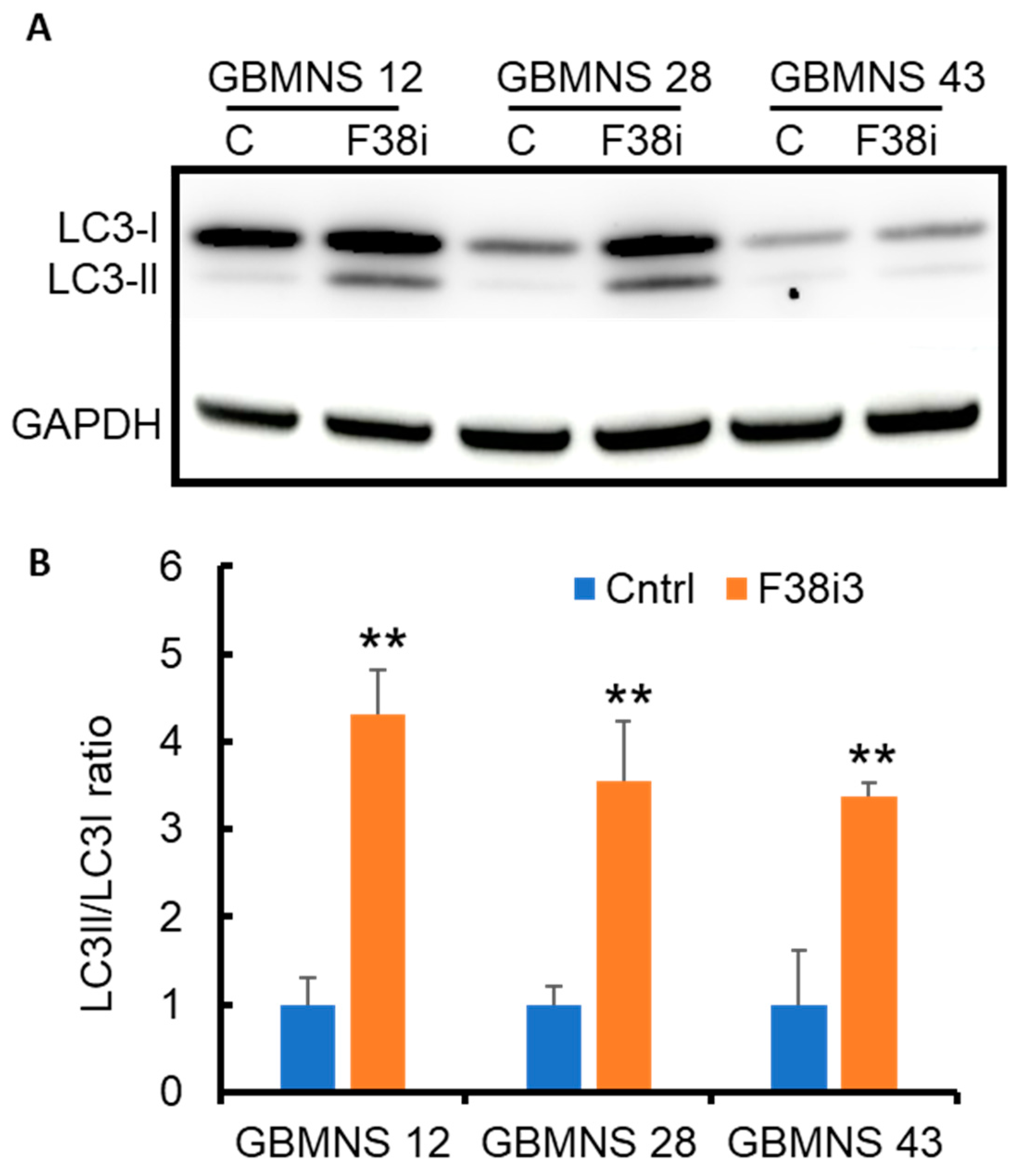 Cells 12 02562 g004 Cells 12 02562 g004