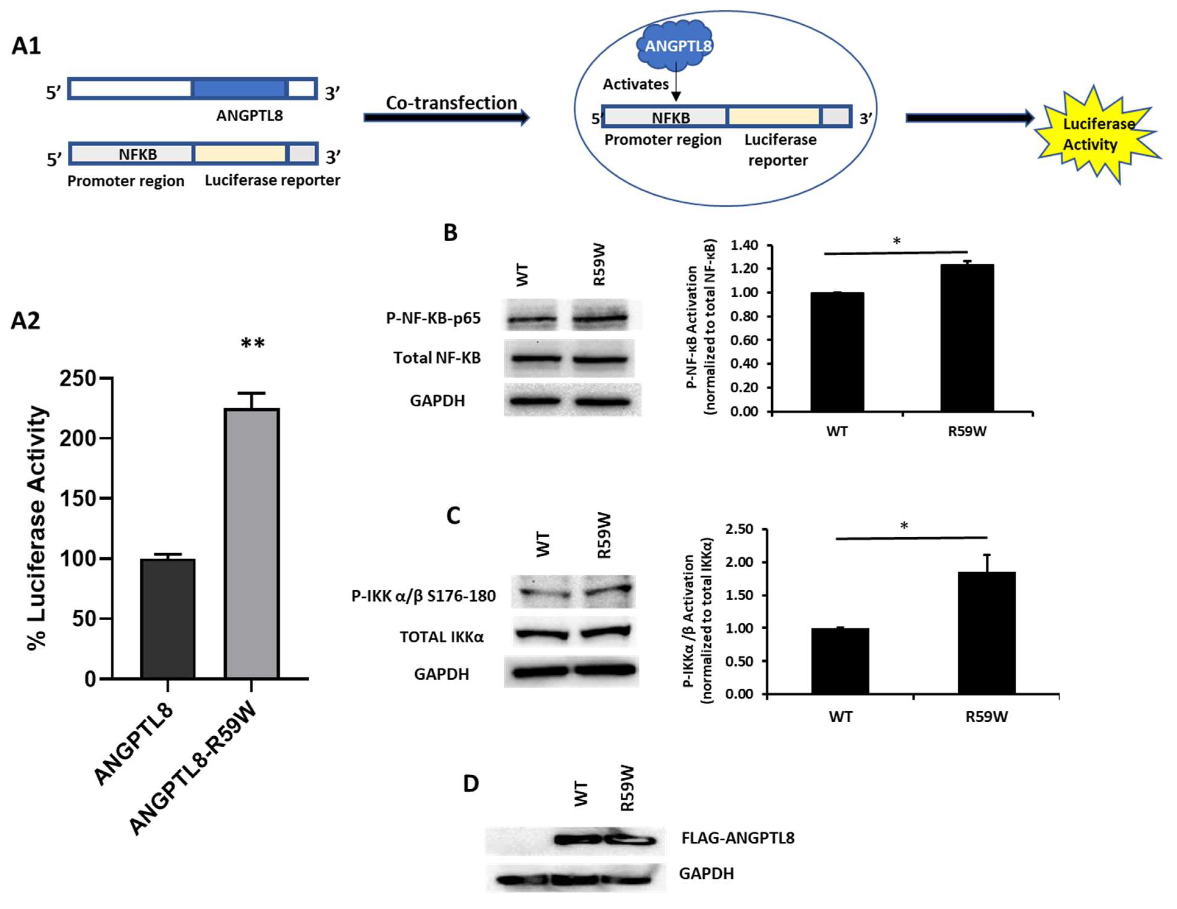 Cells 12 02563 g002 Cells 12 02563 g002