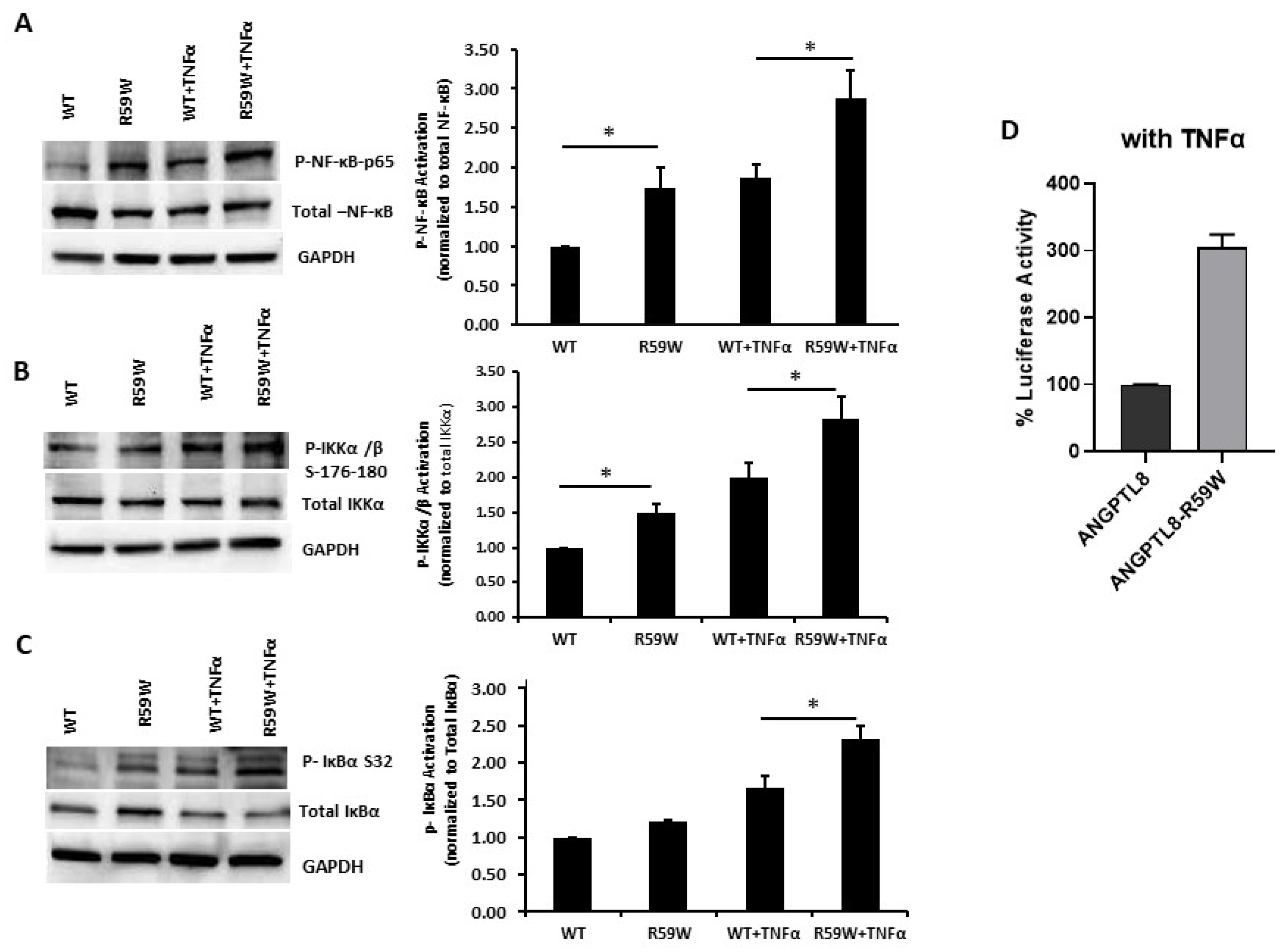 Cells 12 02563 g003 Cells 12 02563 g003