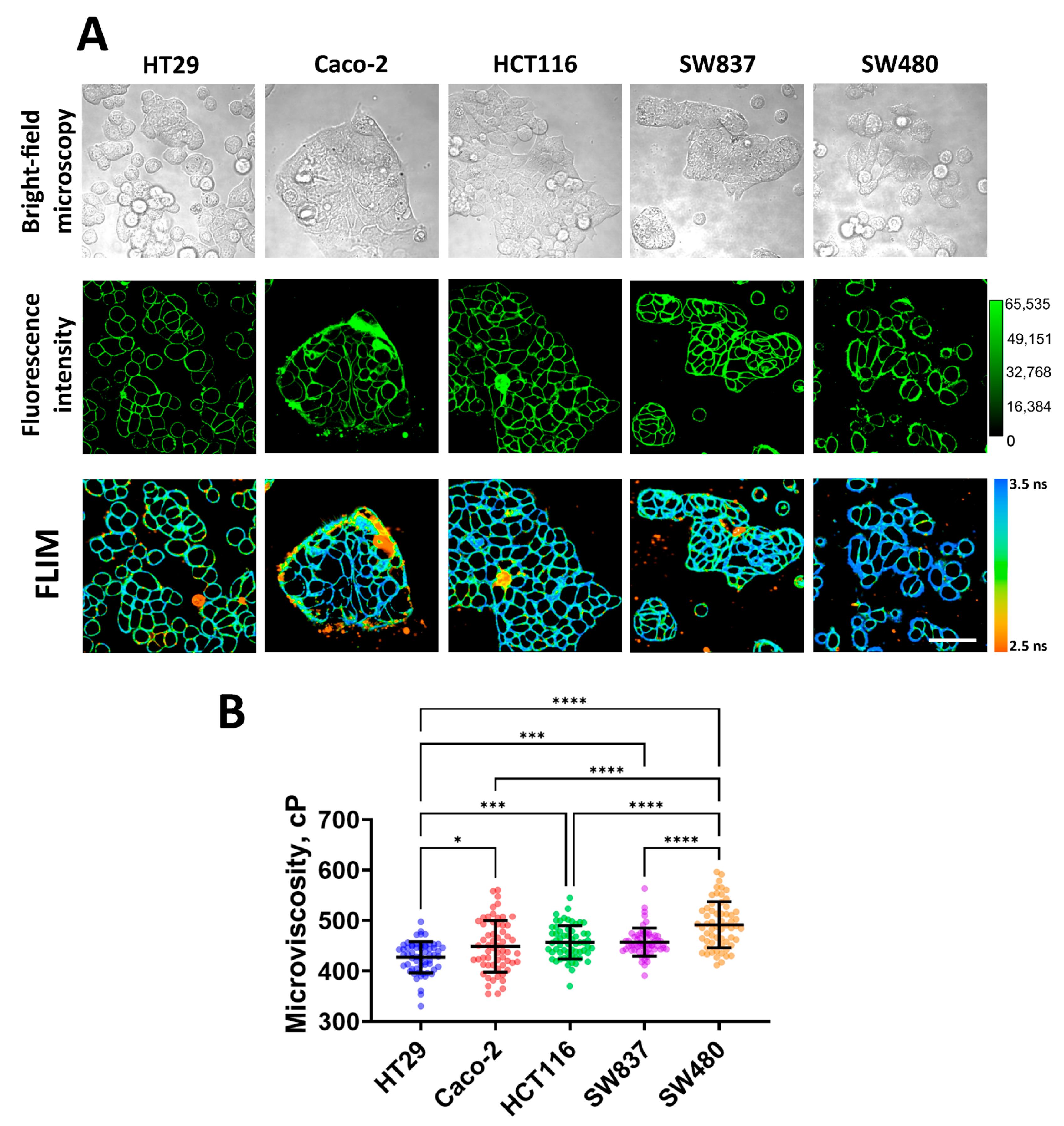 Cells 12 02583 g001 Cells 12 02583 g001