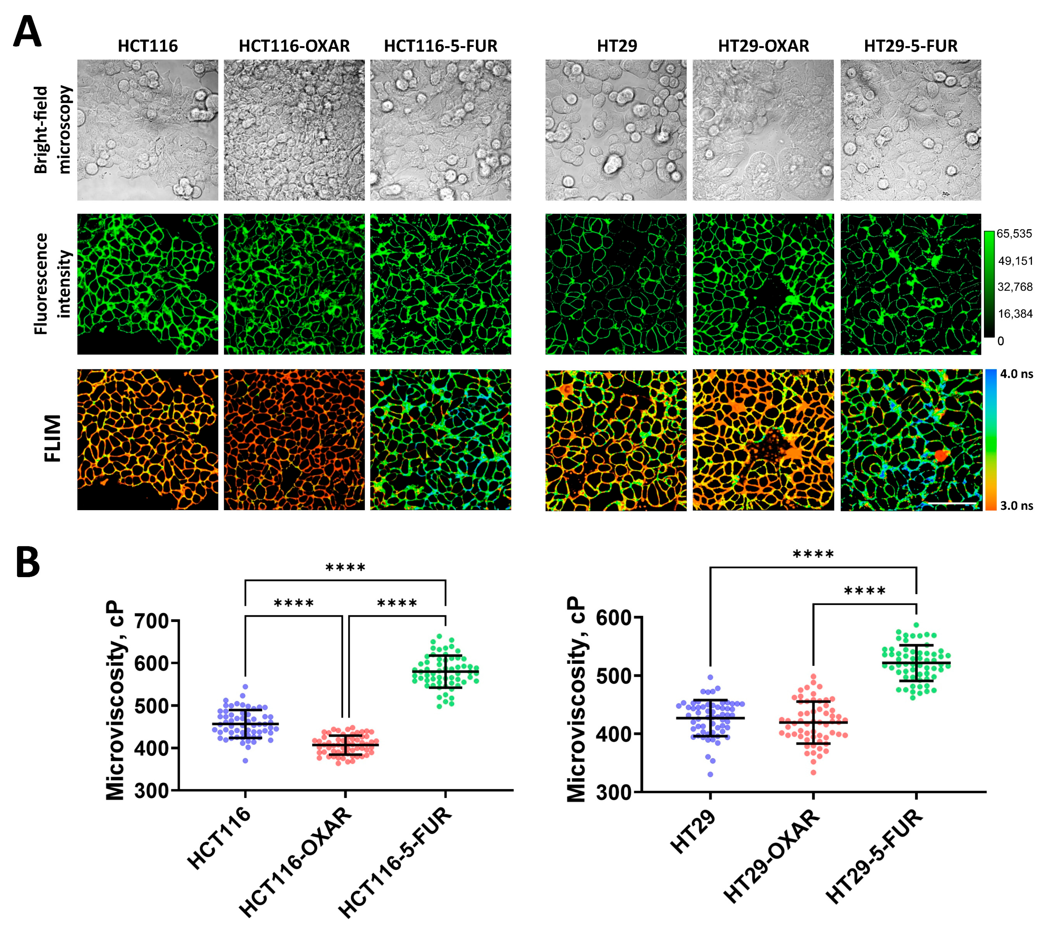 Cells 12 02583 g002 Cells 12 02583 g002