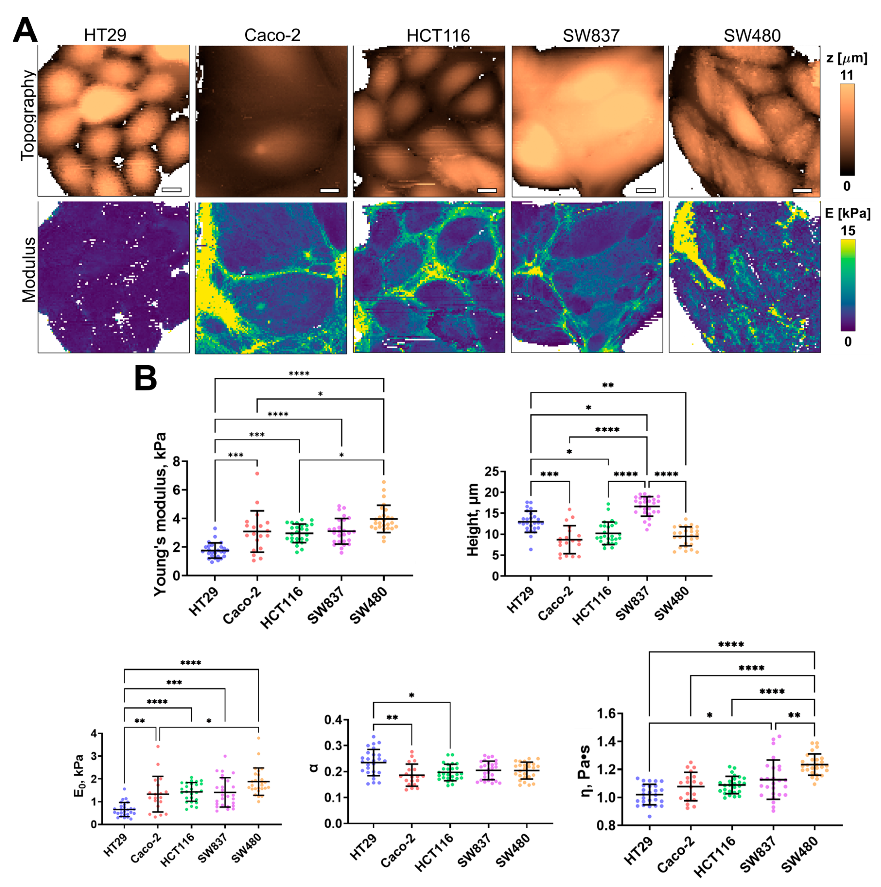 Cells 12 02583 g003 Cells 12 02583 g003