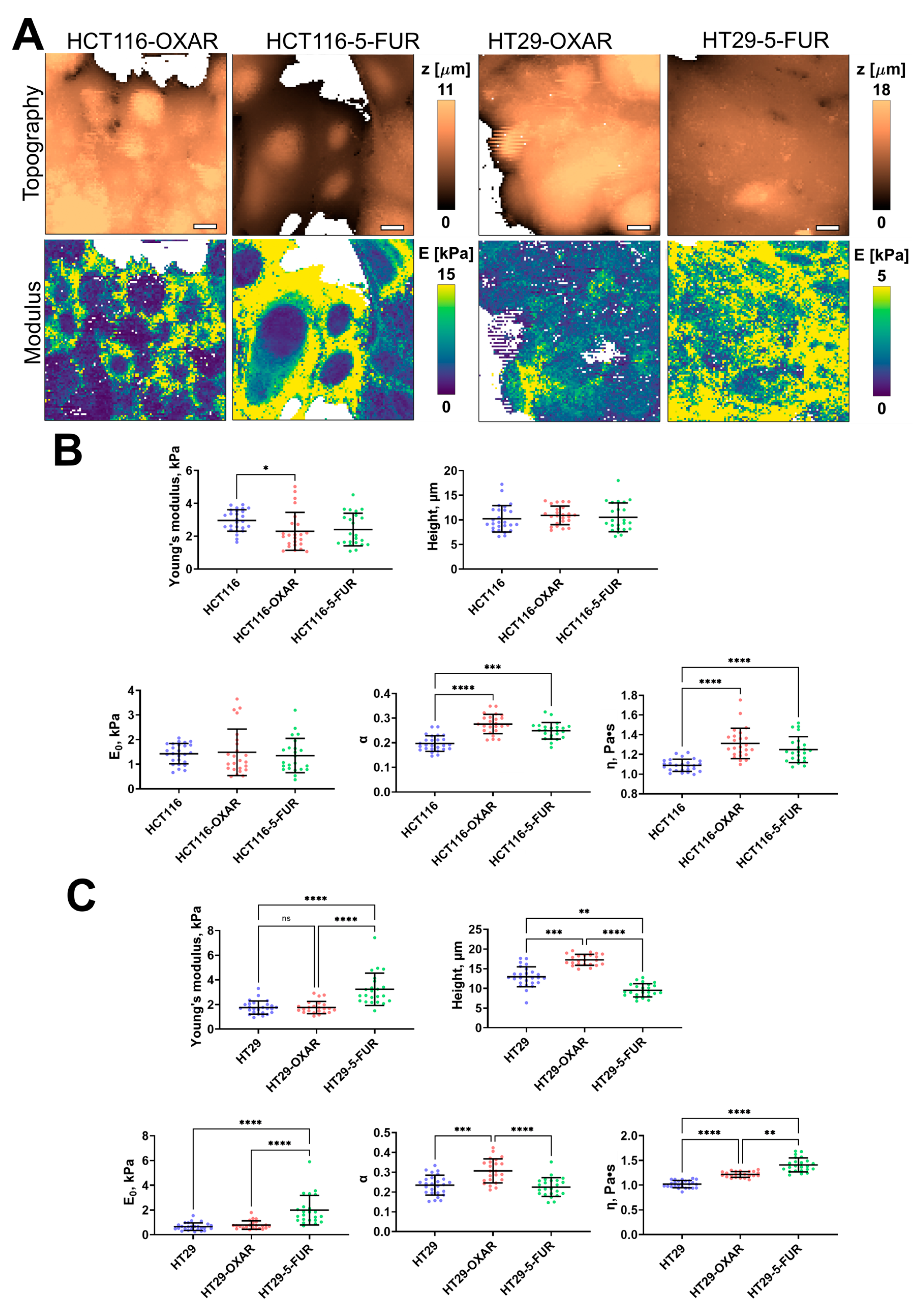 Cells 12 02583 g004 Cells 12 02583 g004