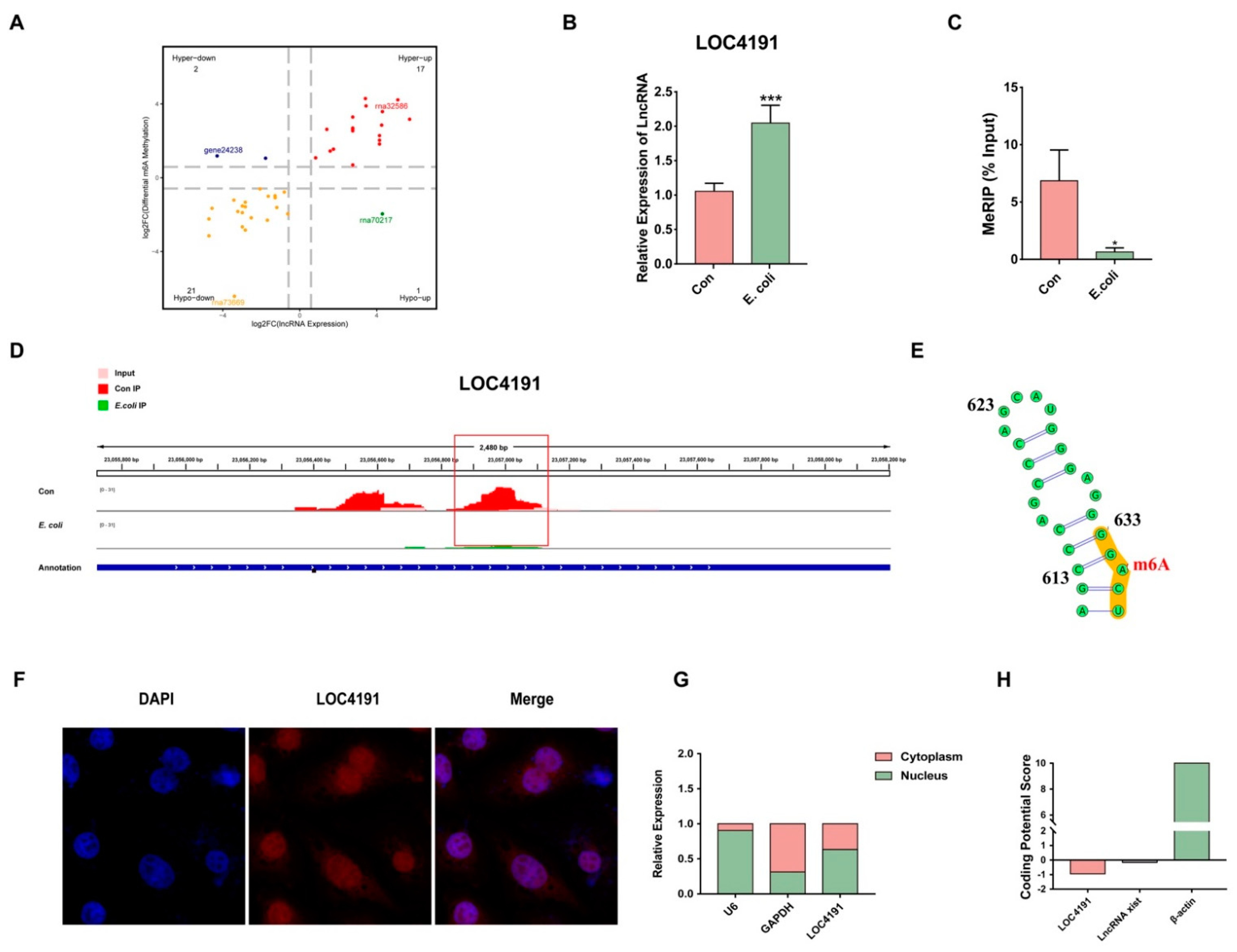 Cells 12 02604 g003 Cells 12 02604 g003