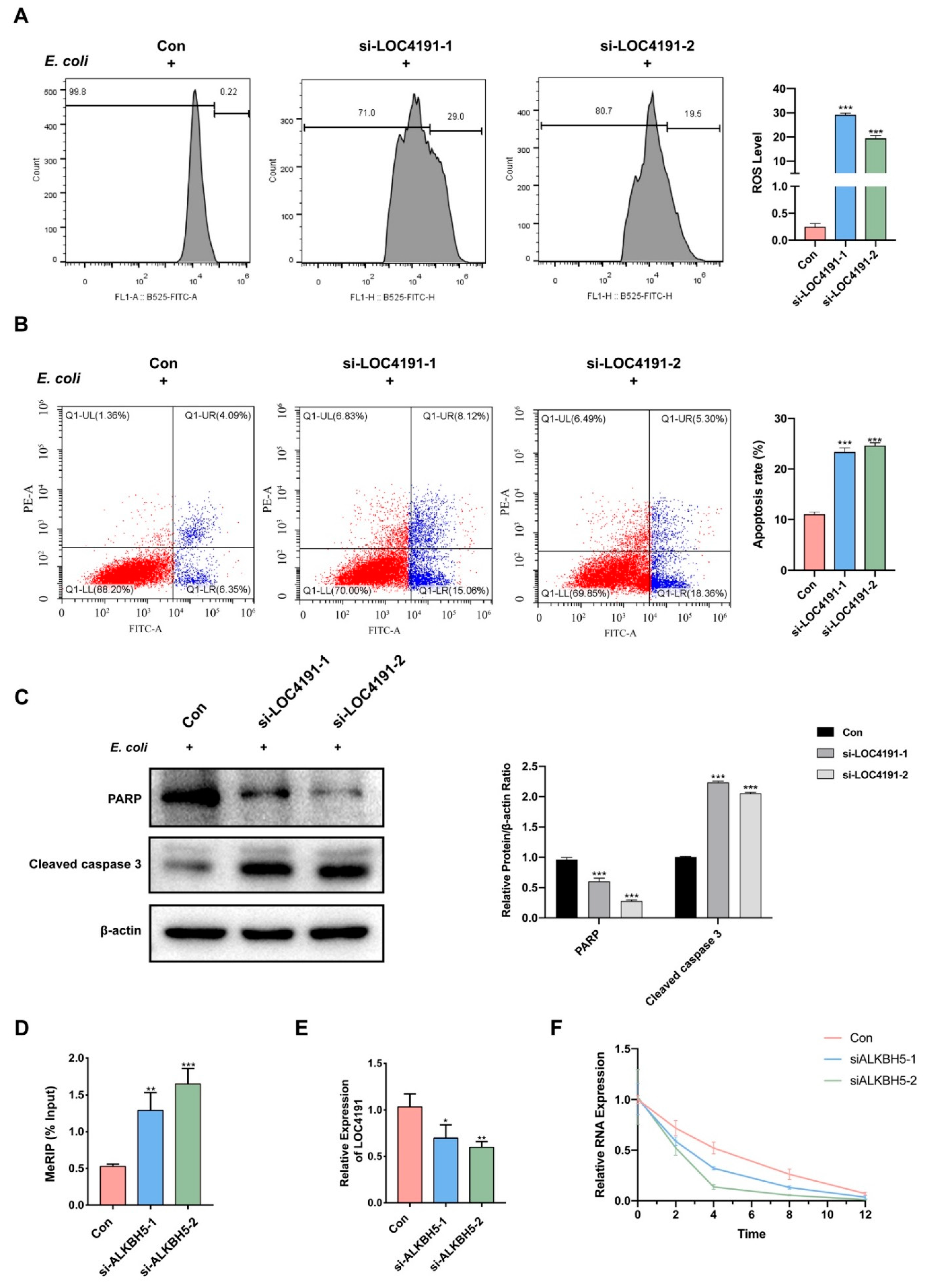 Cells 12 02604 g004 Cells 12 02604 g004