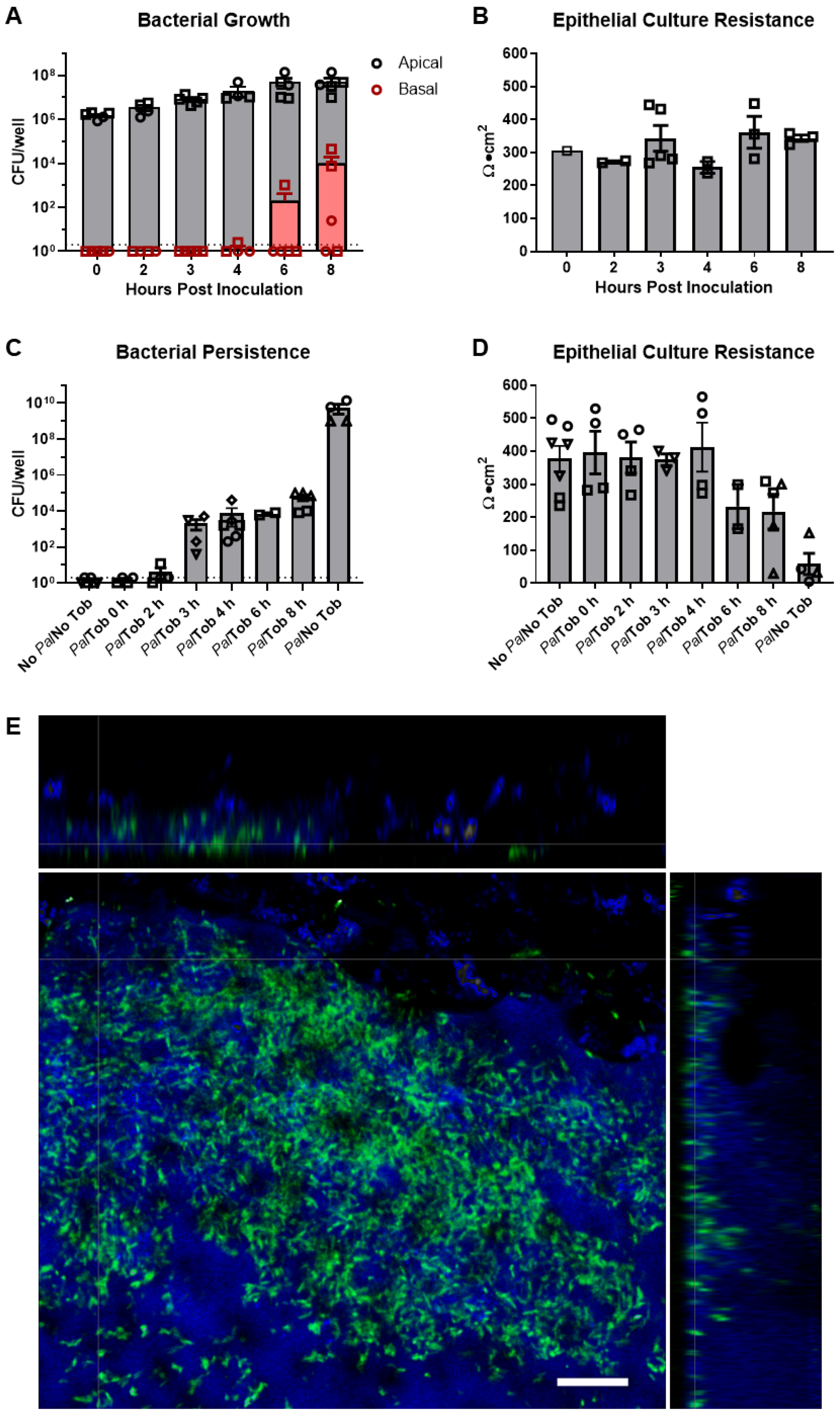 Cells 12 02618 g001 Cells 12 02618 g001