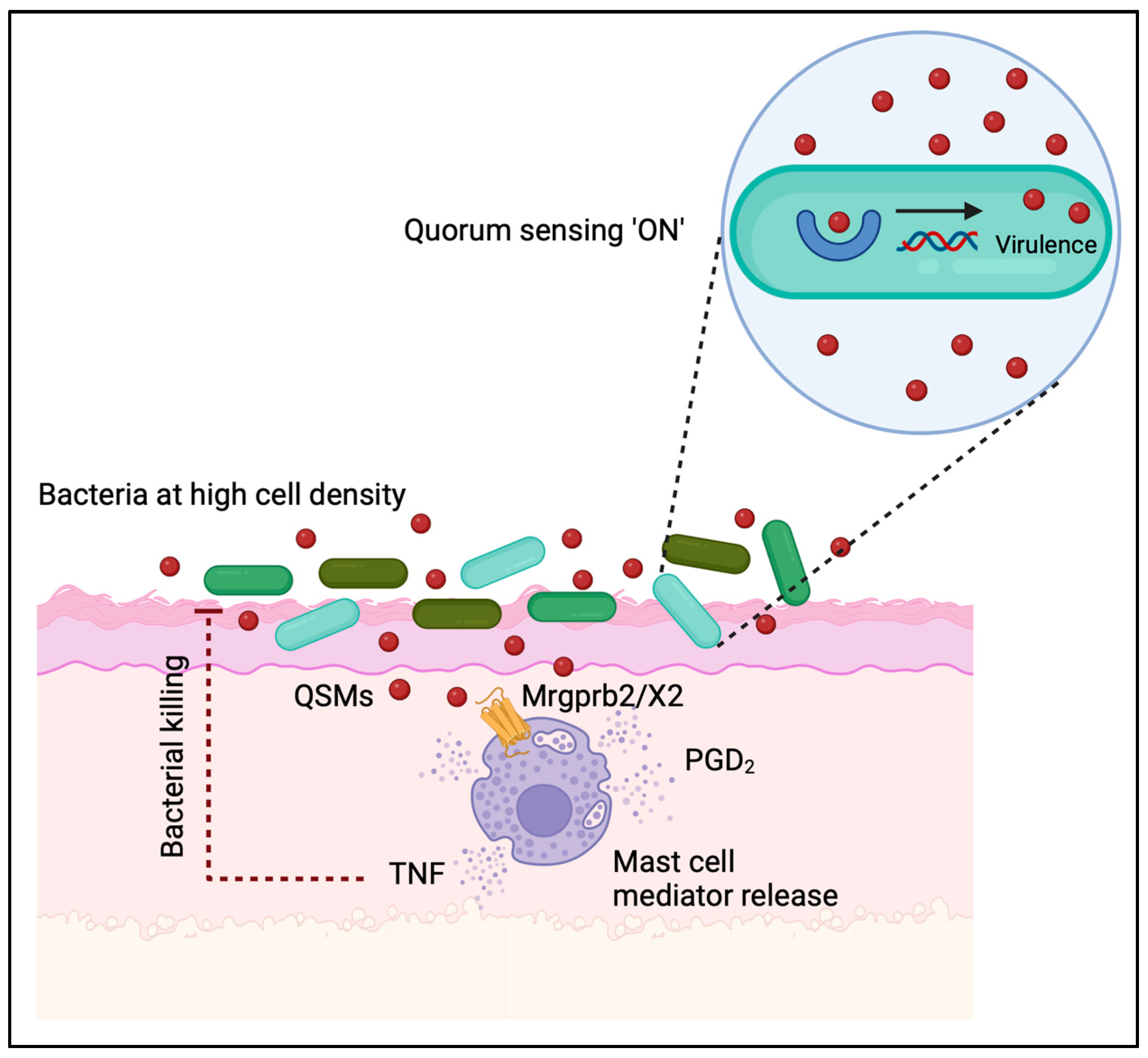 Cells 12 02624 g005 Cells 12 02624 g005