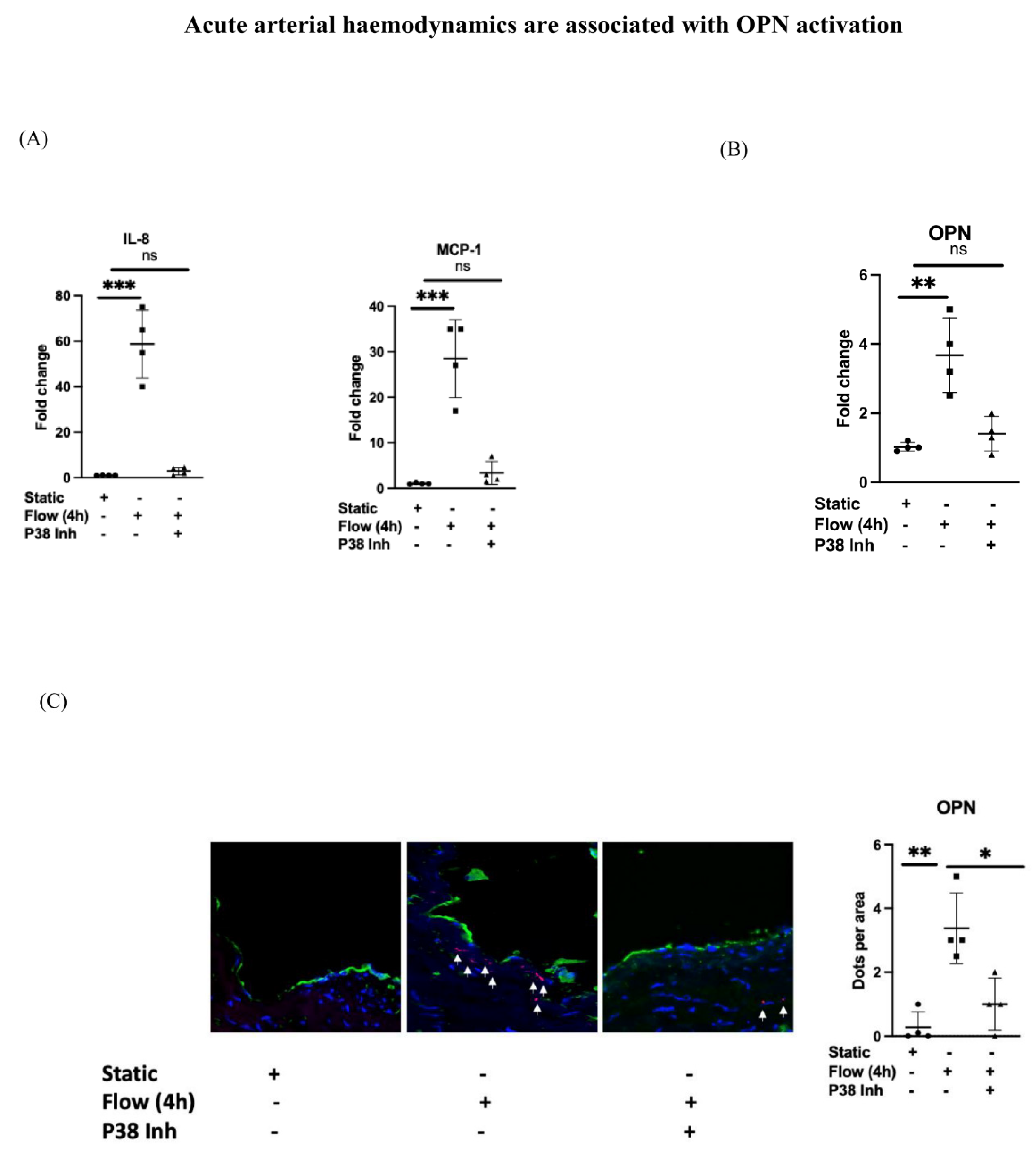 Cells 12 02627 g002a