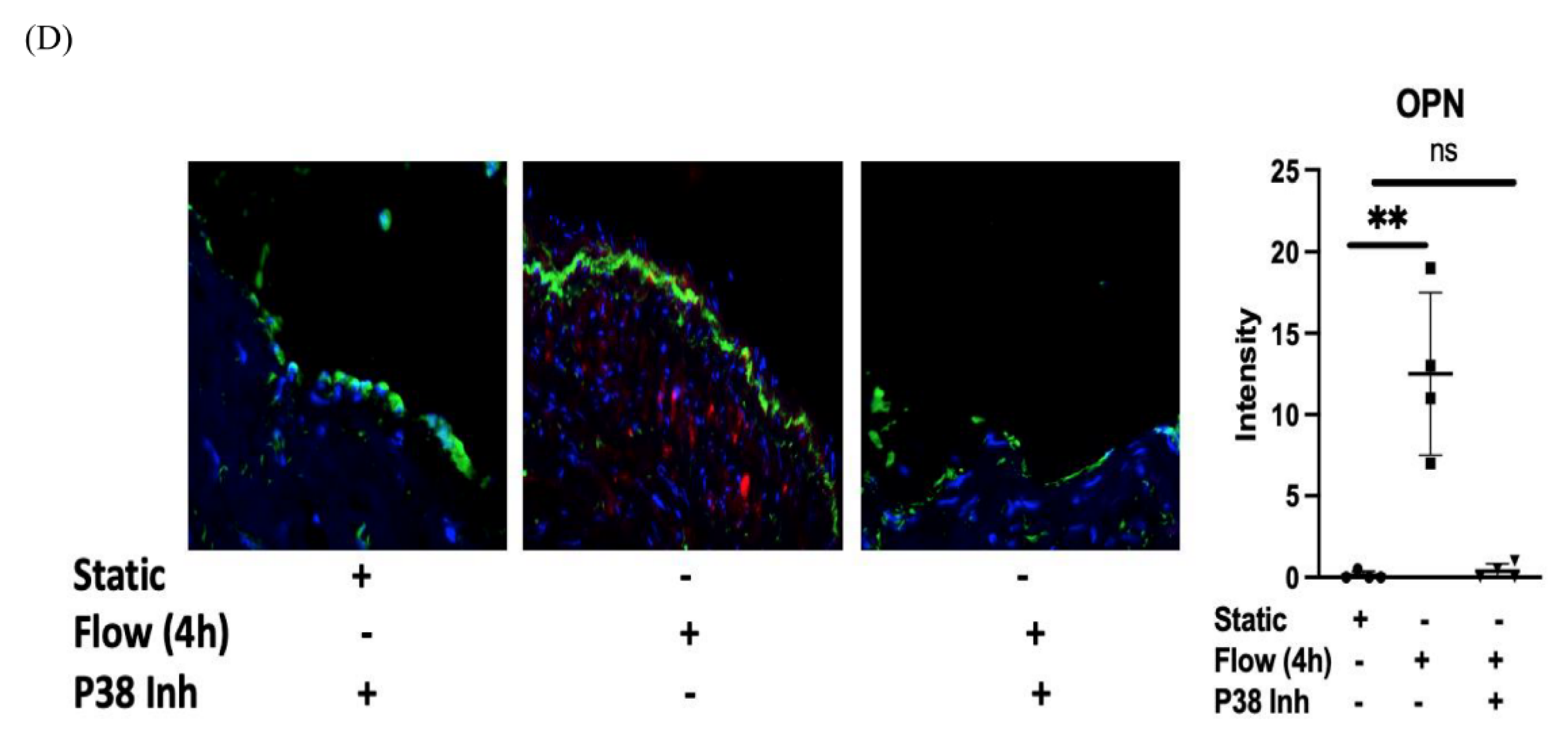 Cells 12 02627 g002b