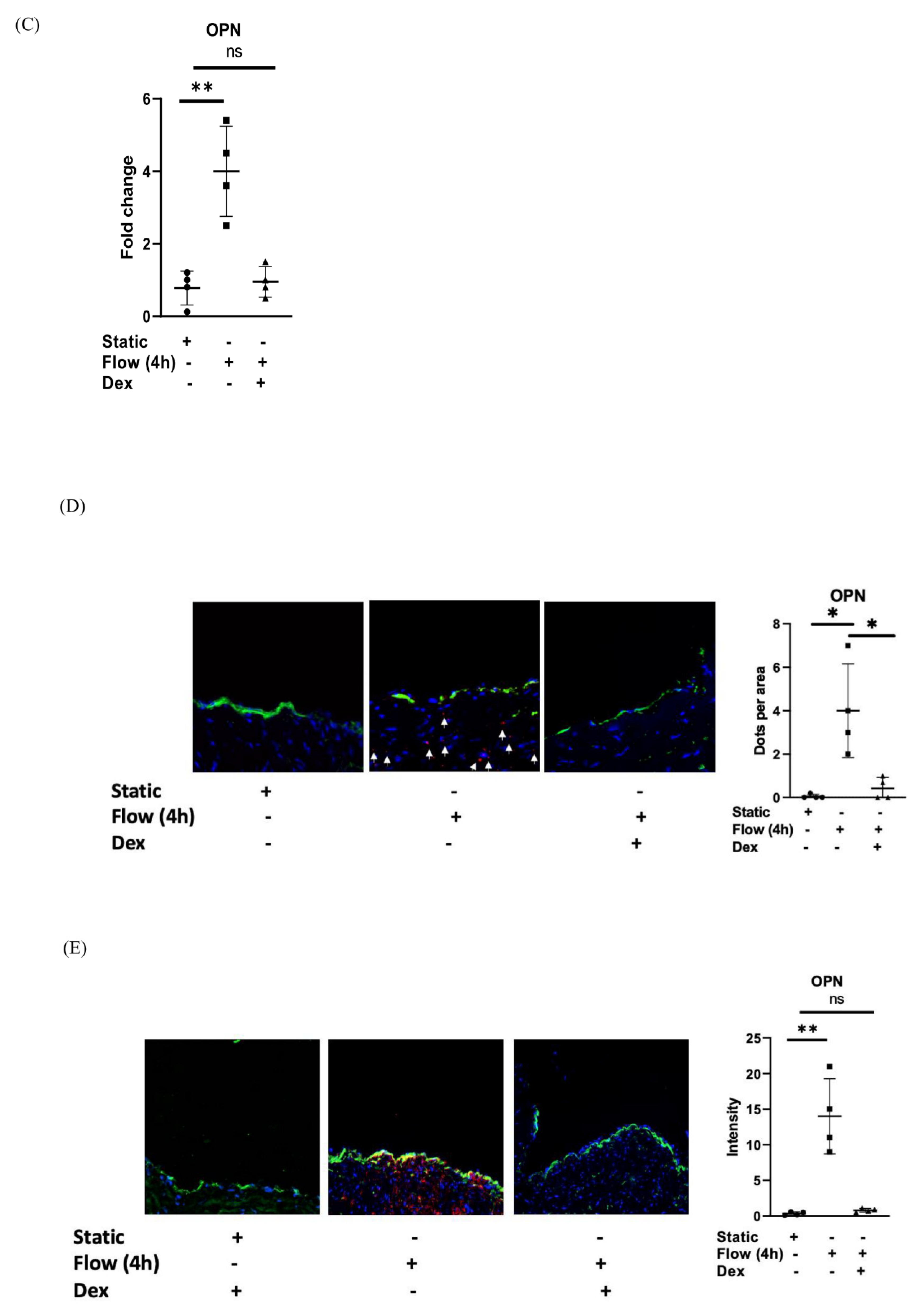 Cells 12 02627 g003b