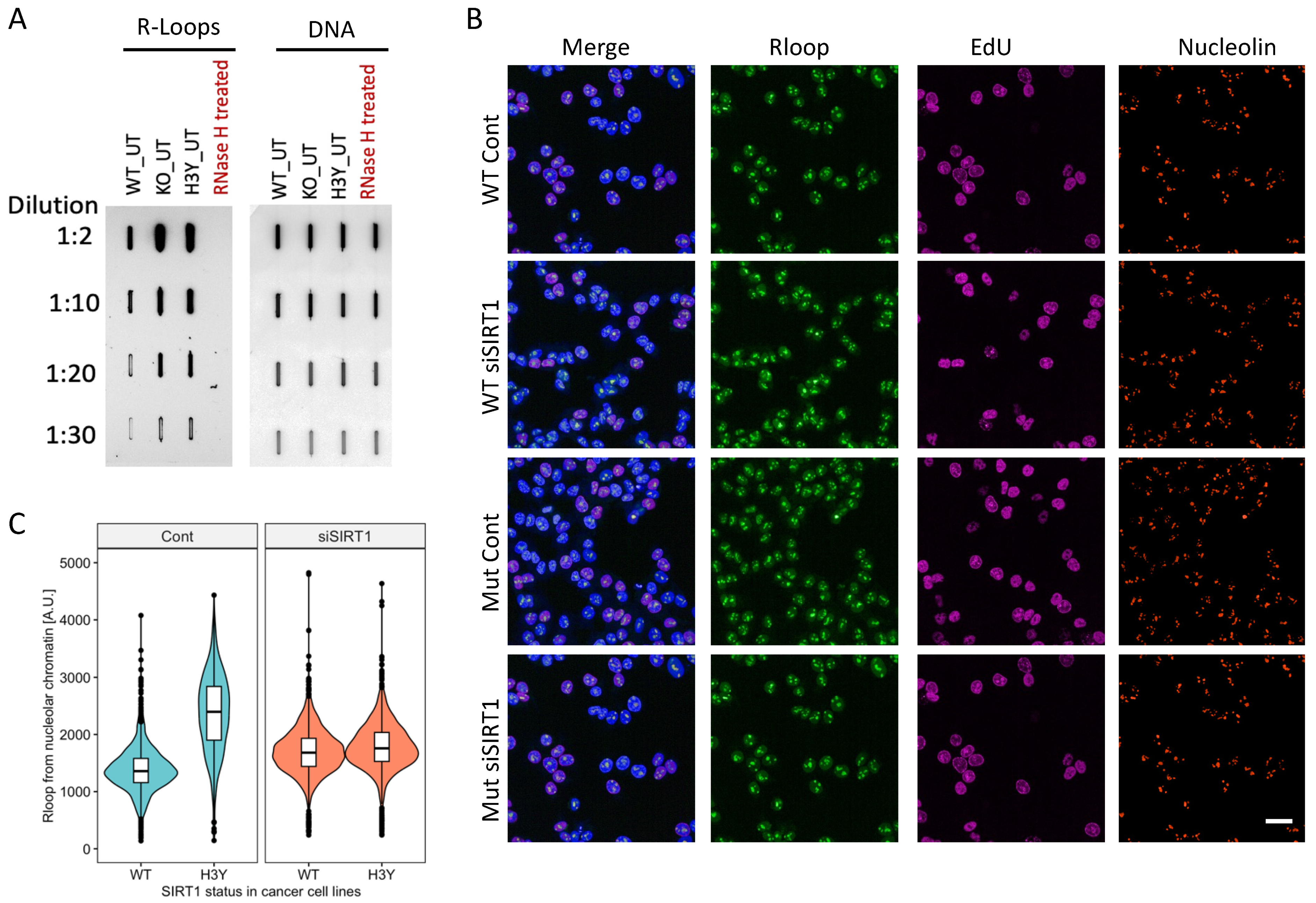 Cells 12 02630 g002