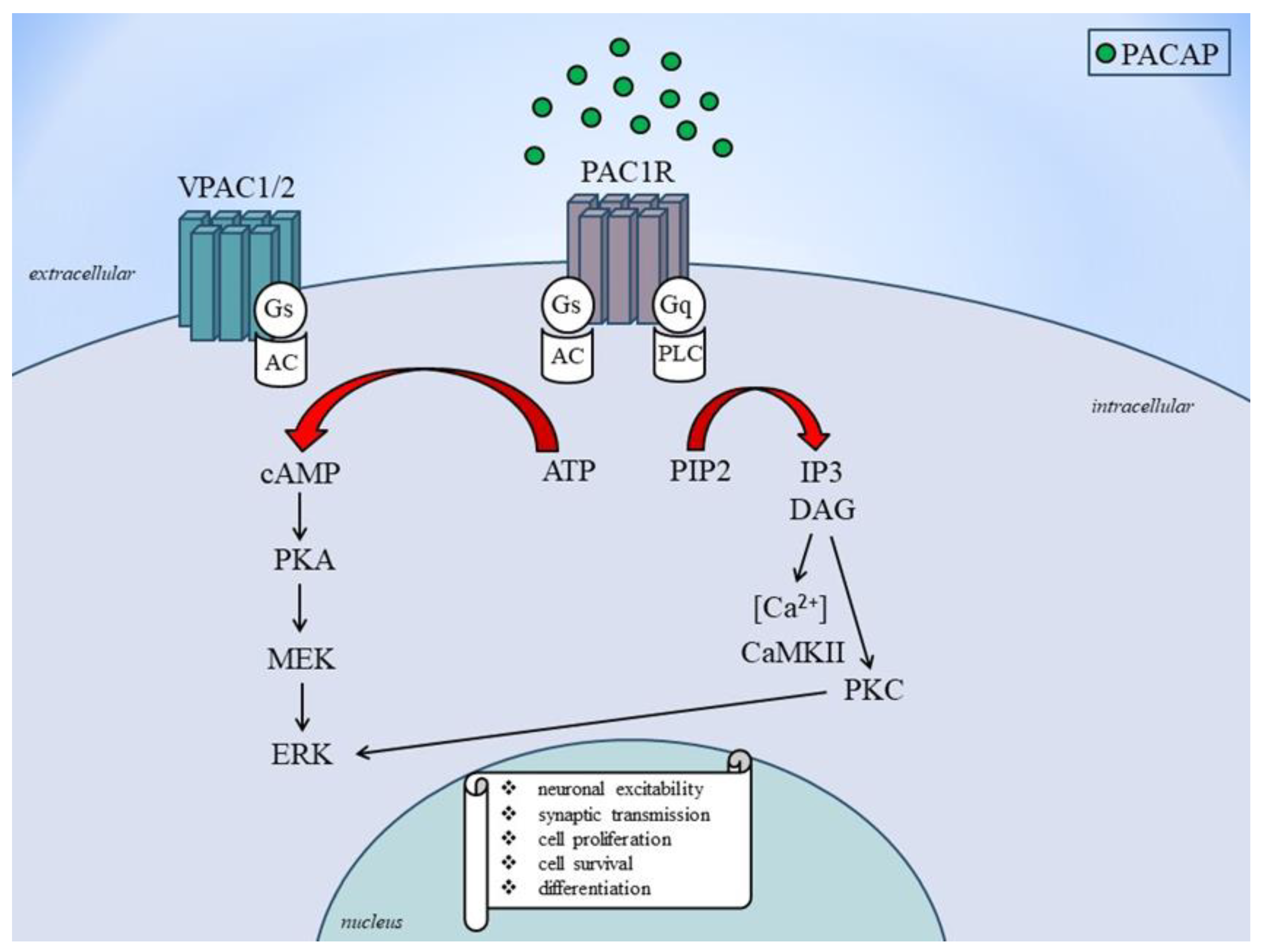 Cells 12 02649 g002 Cells 12 02649 g002