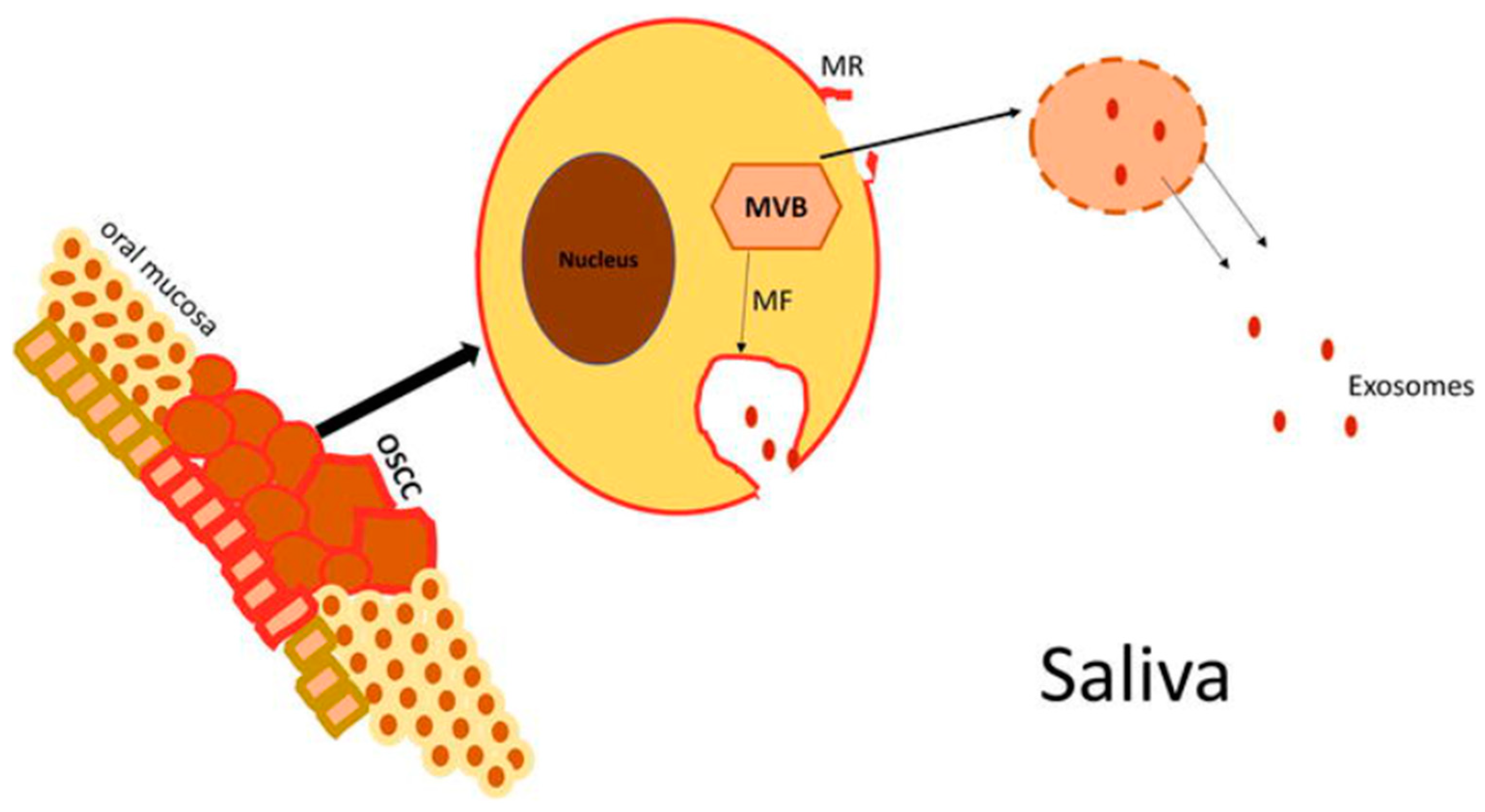 Cells 12 02663 g001 Cells 12 02663 g001