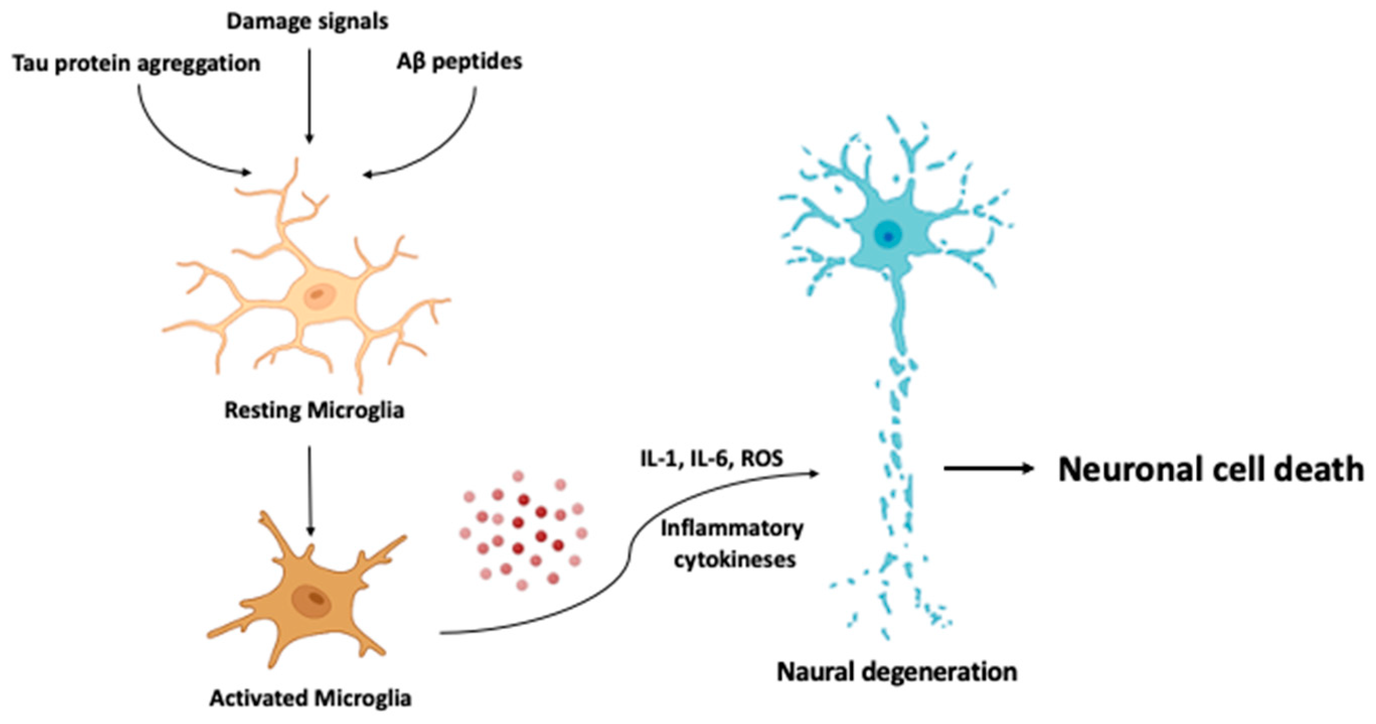 Cells 12 02669 g006 Cells 12 02669 g006