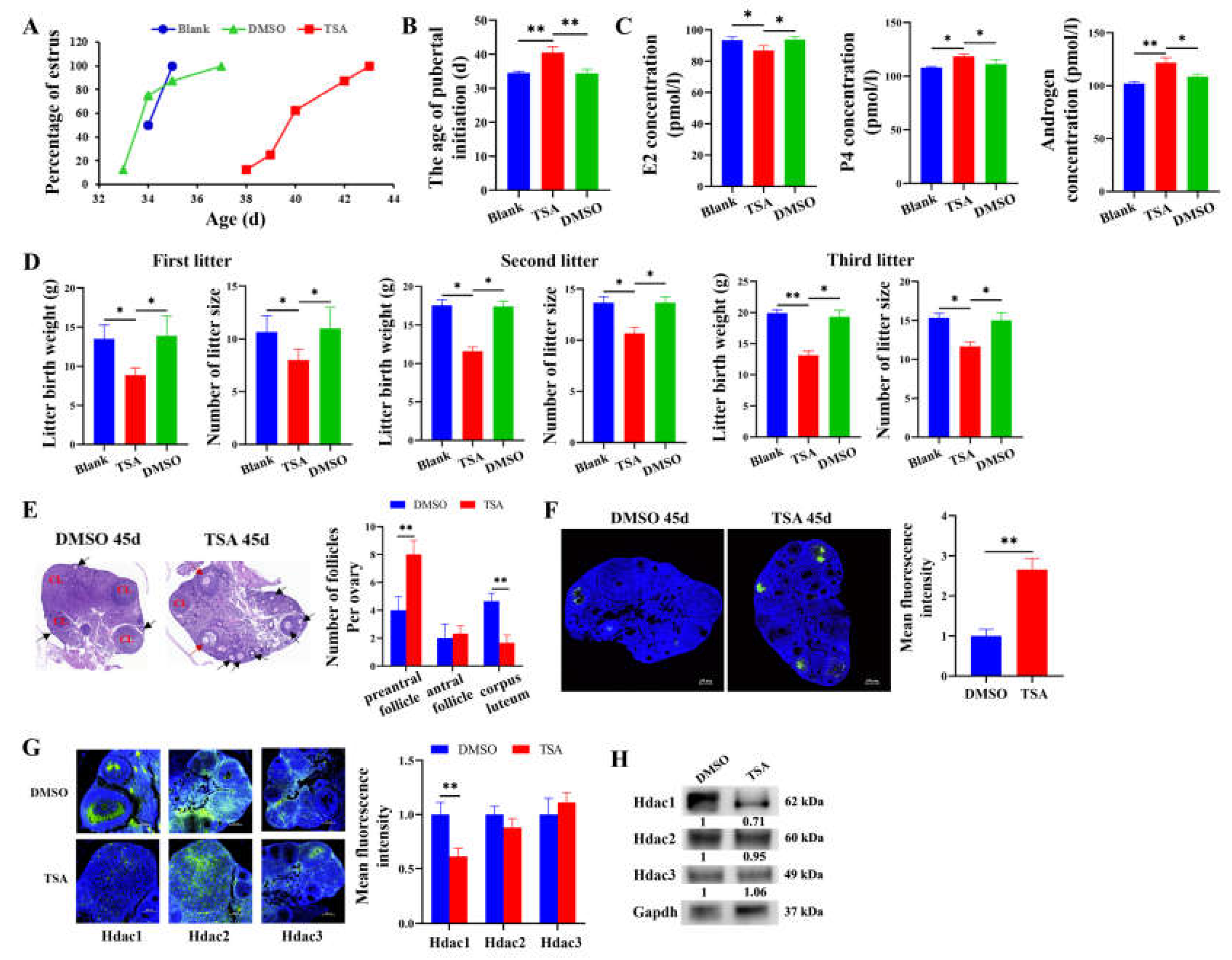 Cells 12 02734 g001 Cells 12 02734 g001