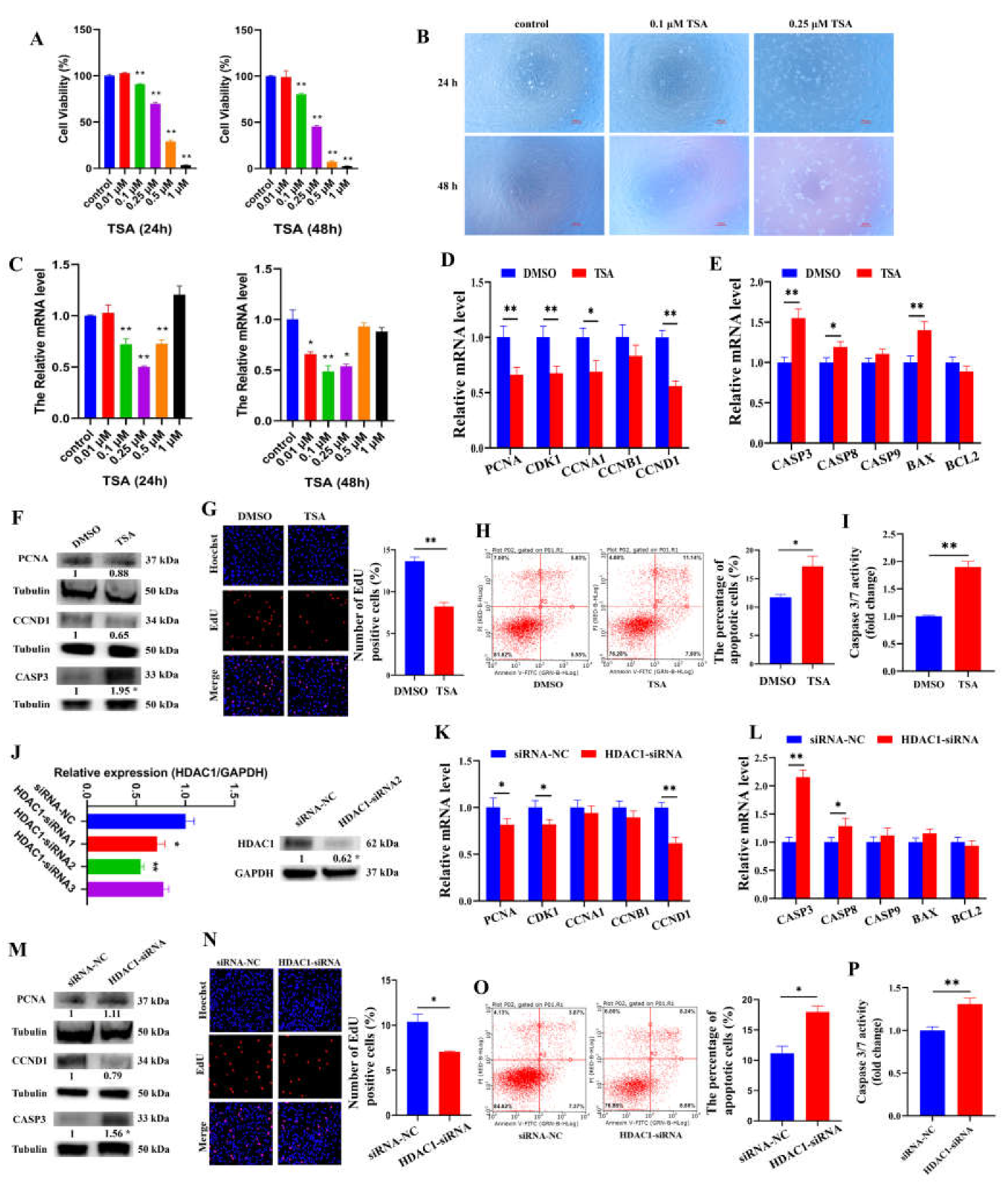 Cells 12 02734 g002 Cells 12 02734 g002