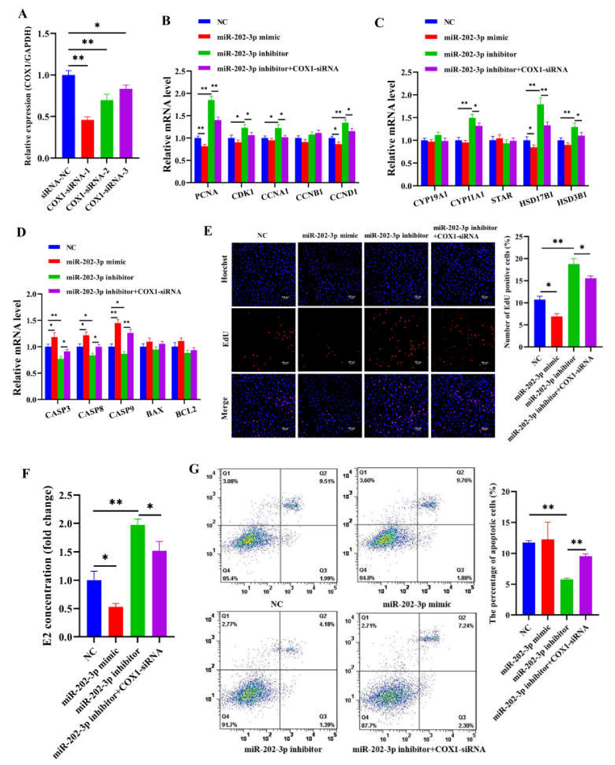 Cells 12 02734 g005 Cells 12 02734 g005